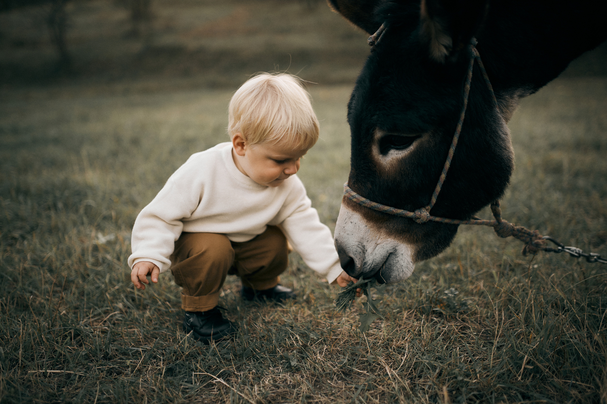 Вікторія, Денис, Назар. Сімейний фотограф в Києві