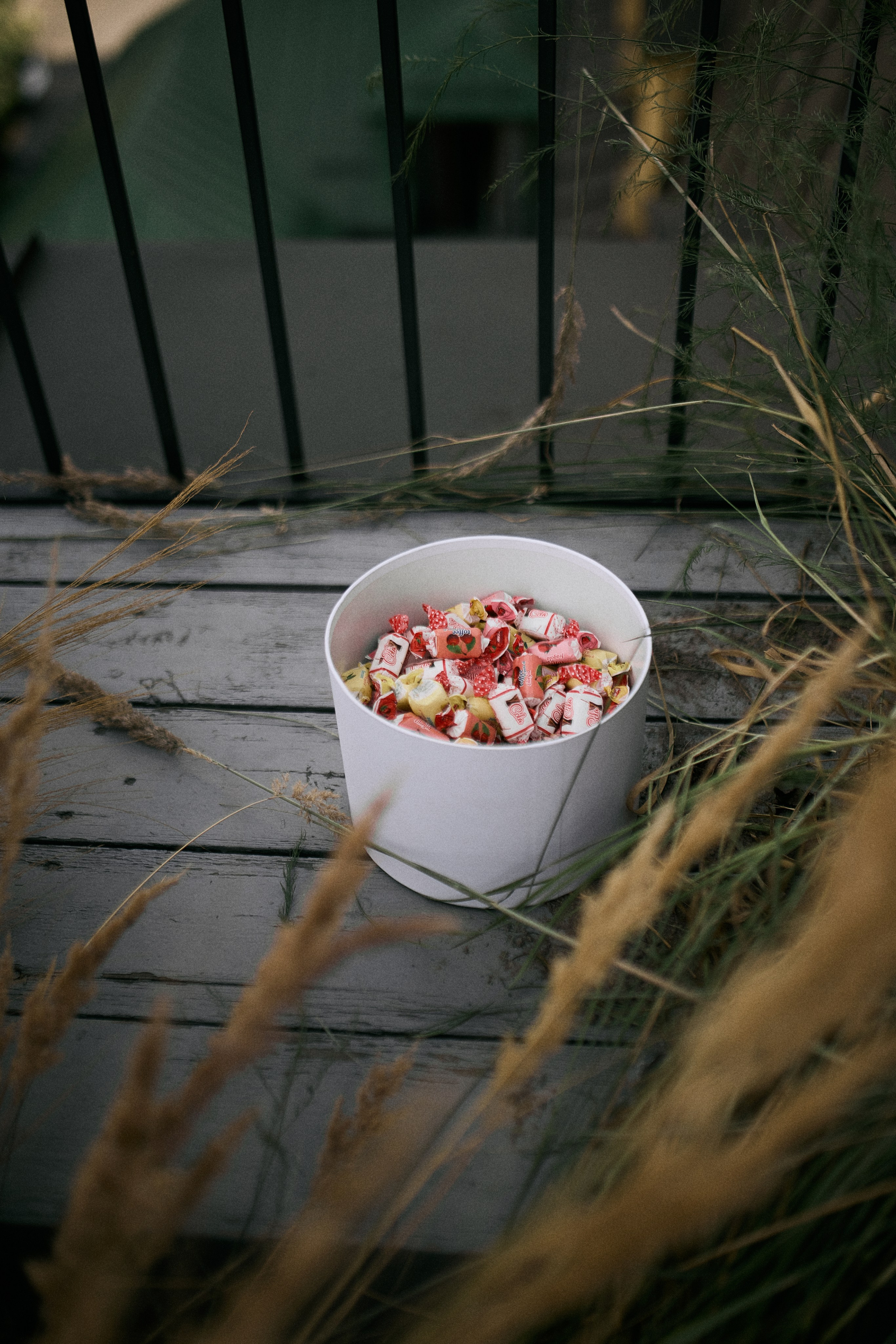 Юлія та Олександр. Сімейний фотограф в Києві