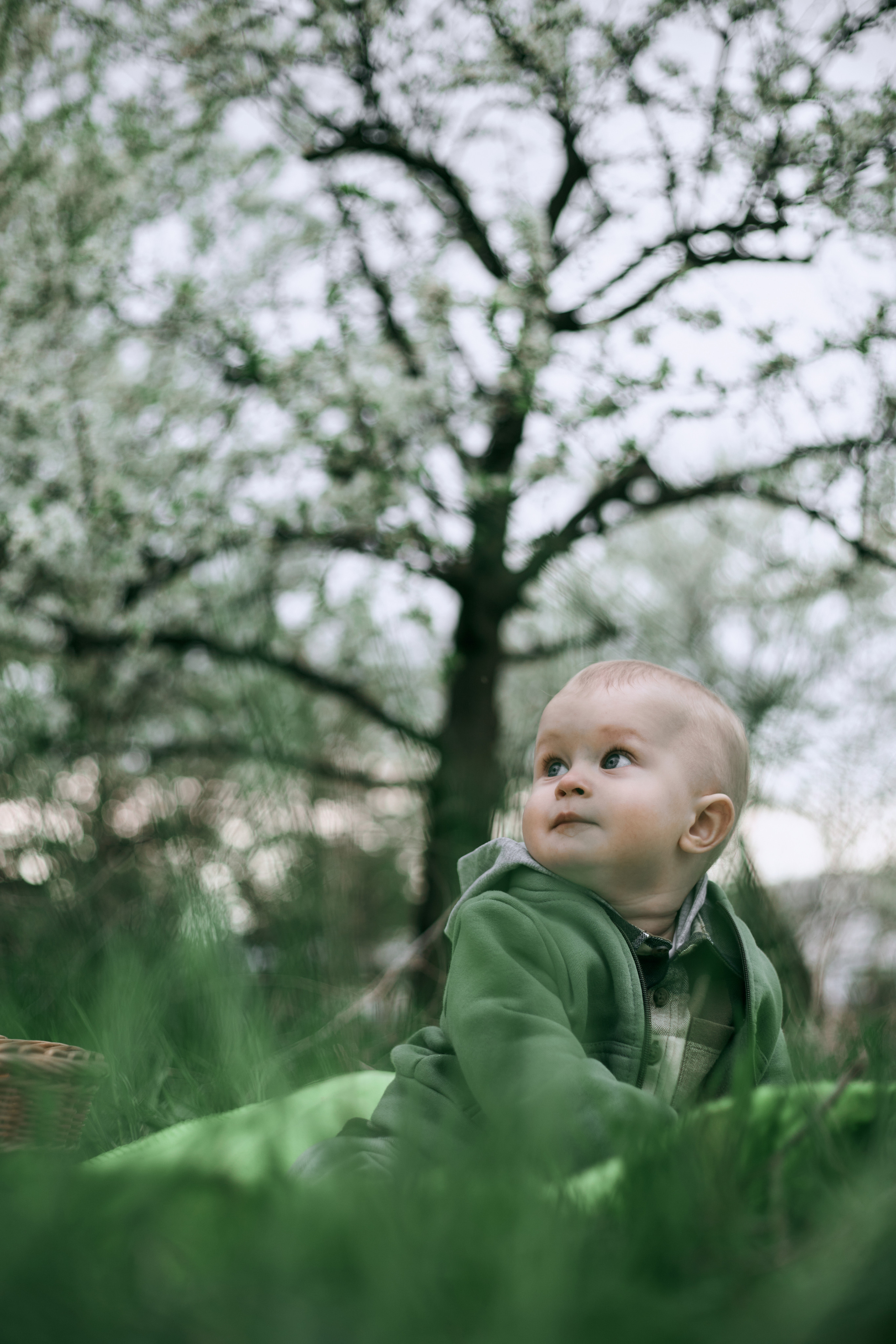 В яблуневому цвіті. Сімейний фотограф в Києві