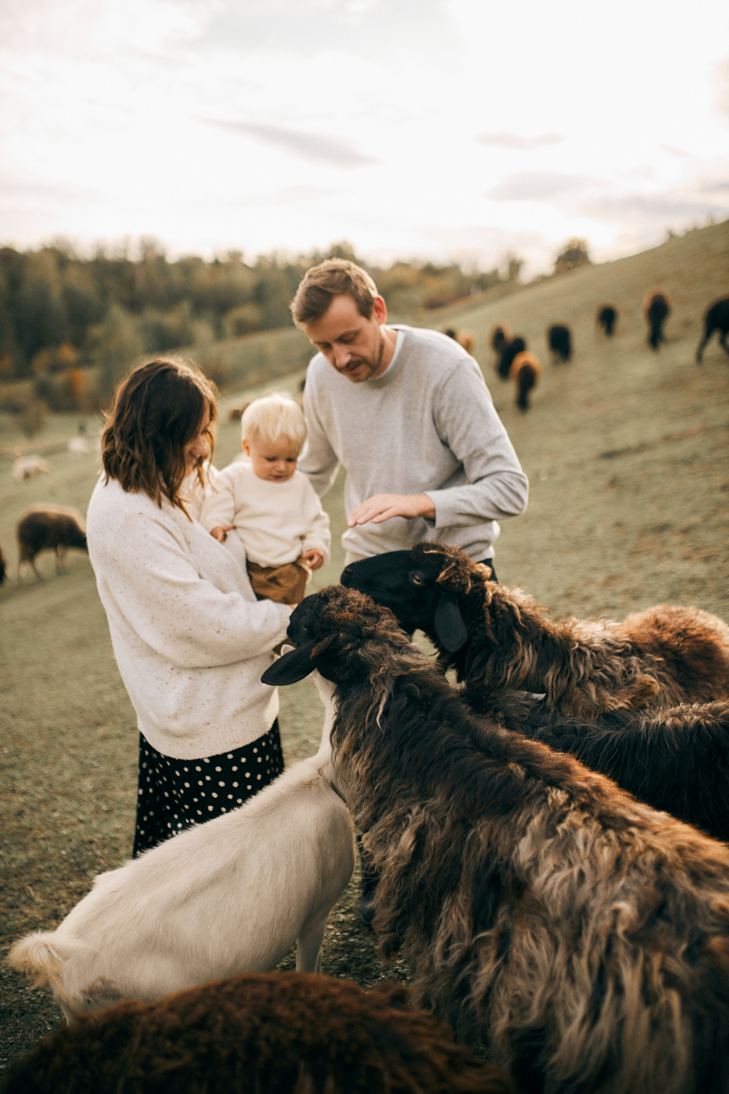 Вікторія, Денис, Назар. Сімейний фотограф в Києві