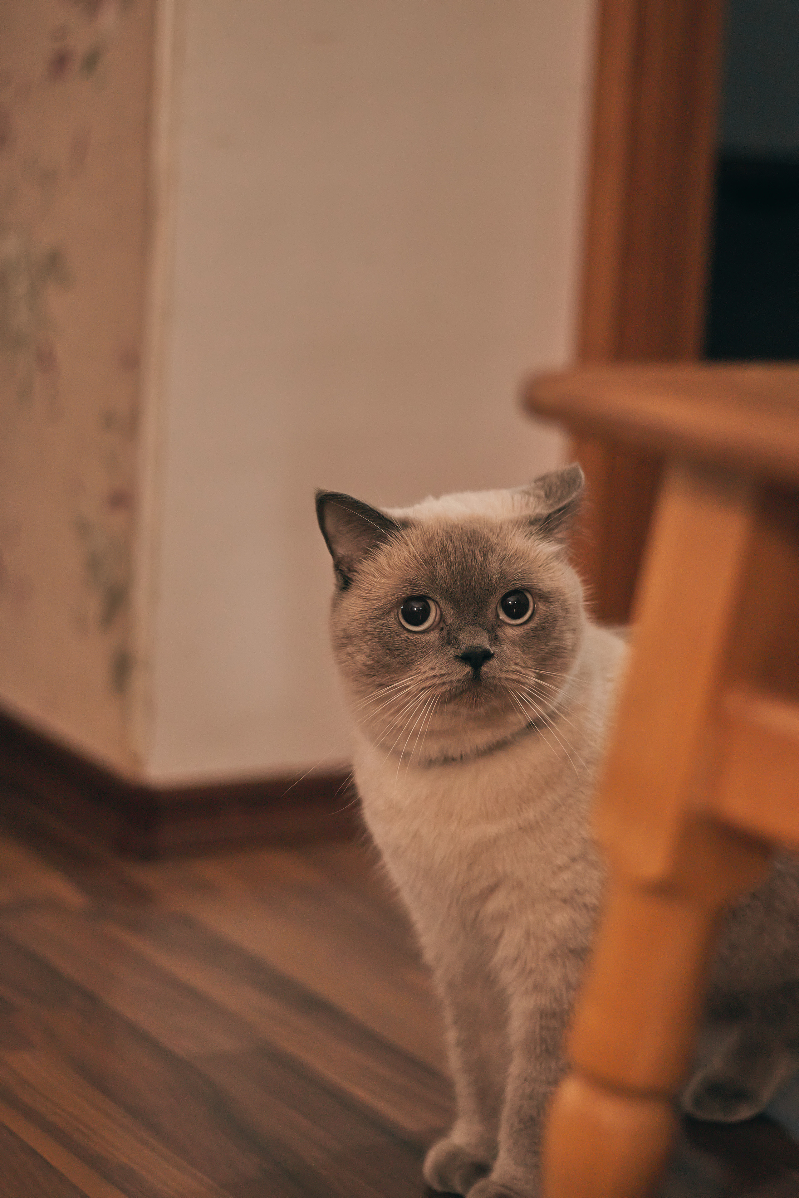 Поцілунків багато не буває. Сімейний фотограф в Києві