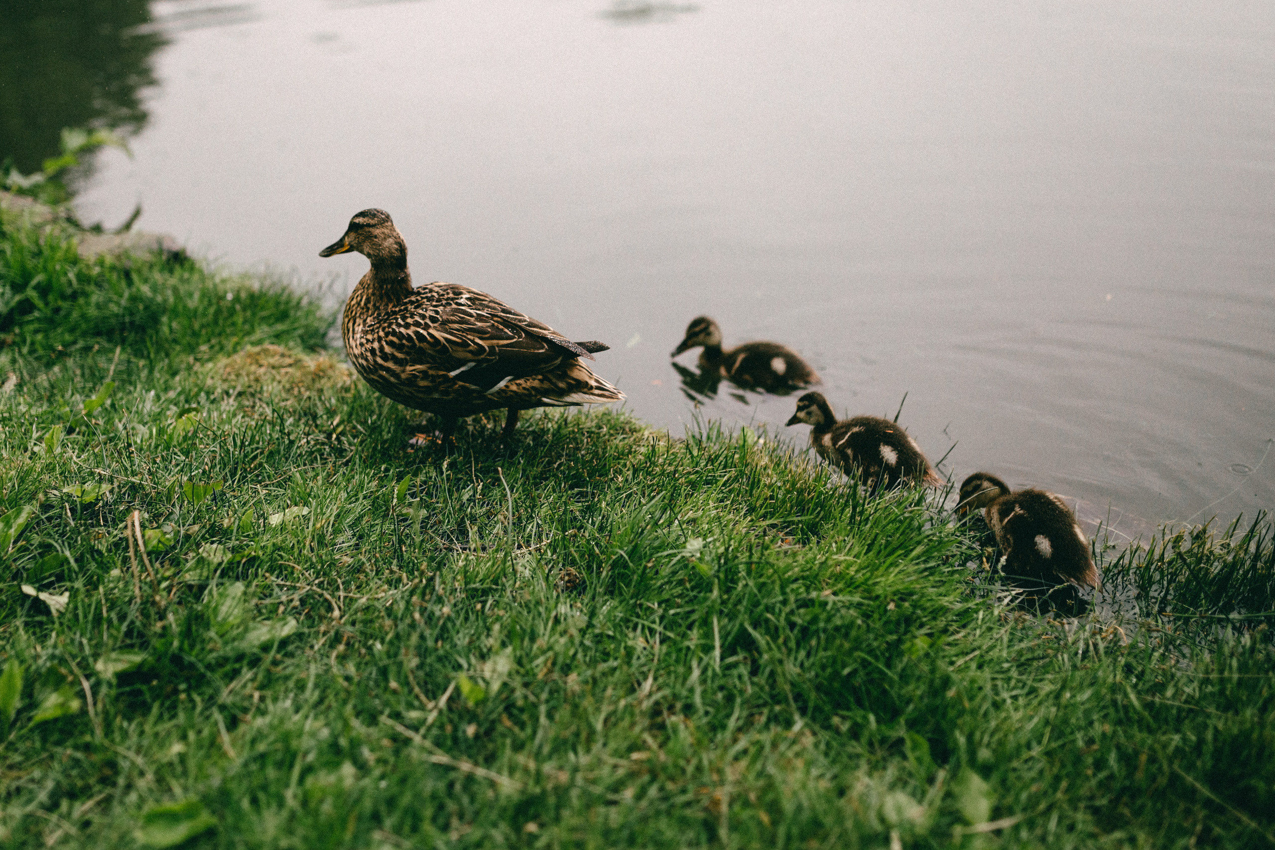 Польша. Peter Pushkin Photographer