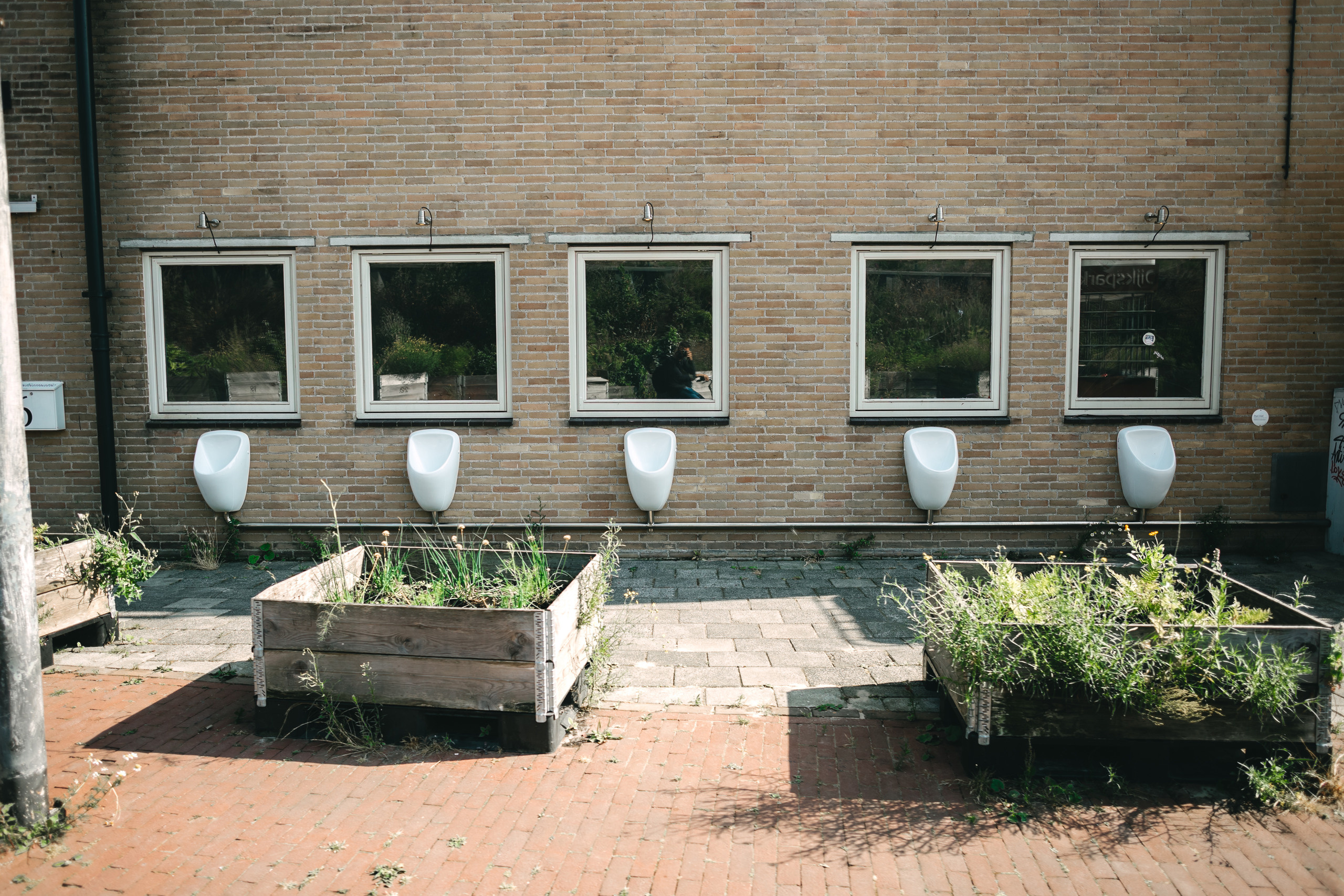 Нідерланди. Peter Pushkin Photographer