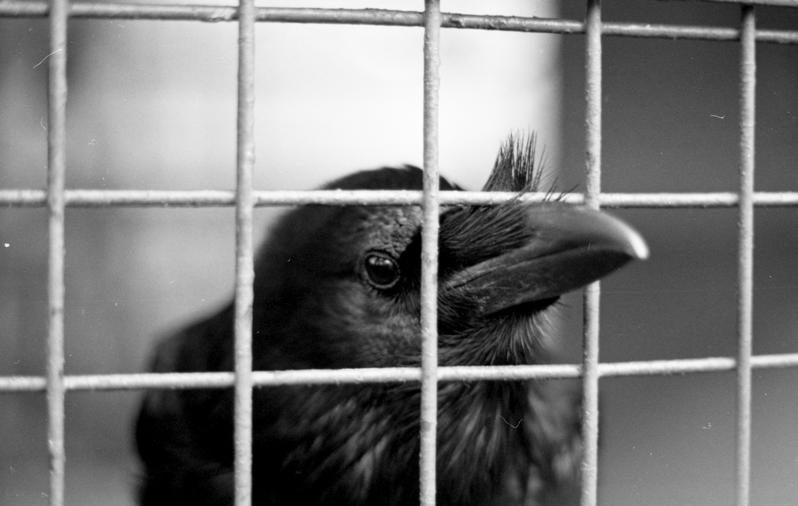 Київ. Peter Pushkin Photographer