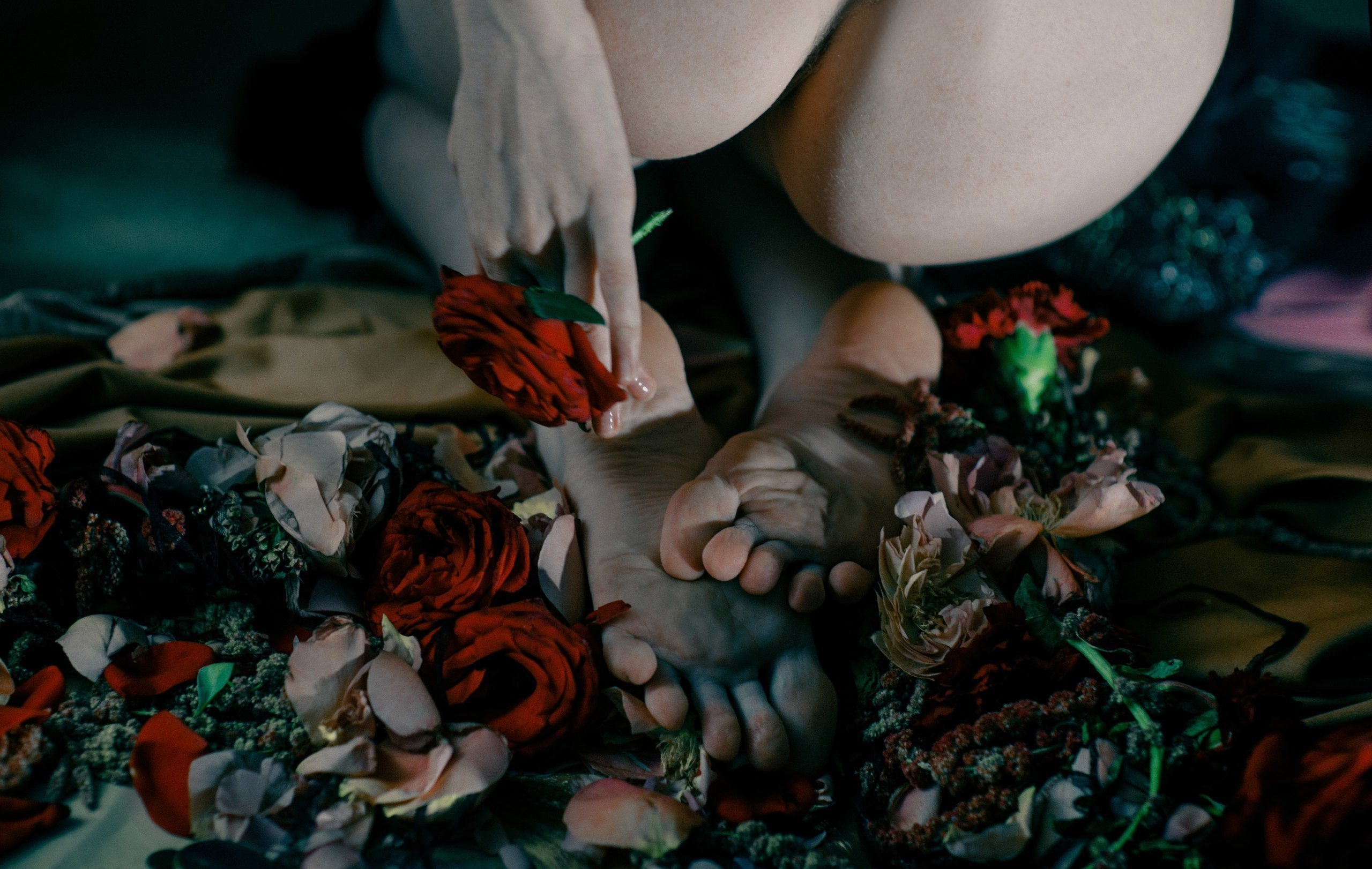 Peter Pushkin Photographer