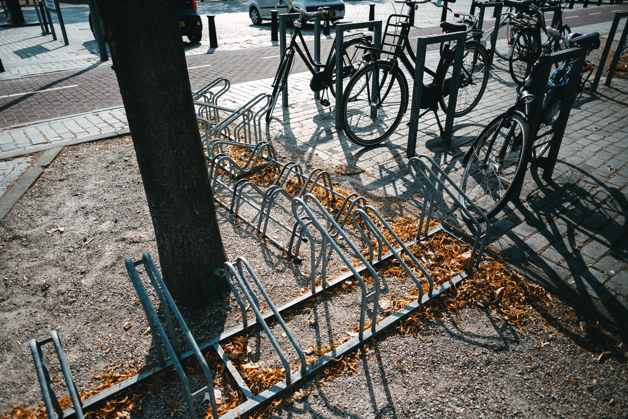 Нідерланди. Peter Pushkin Photographer