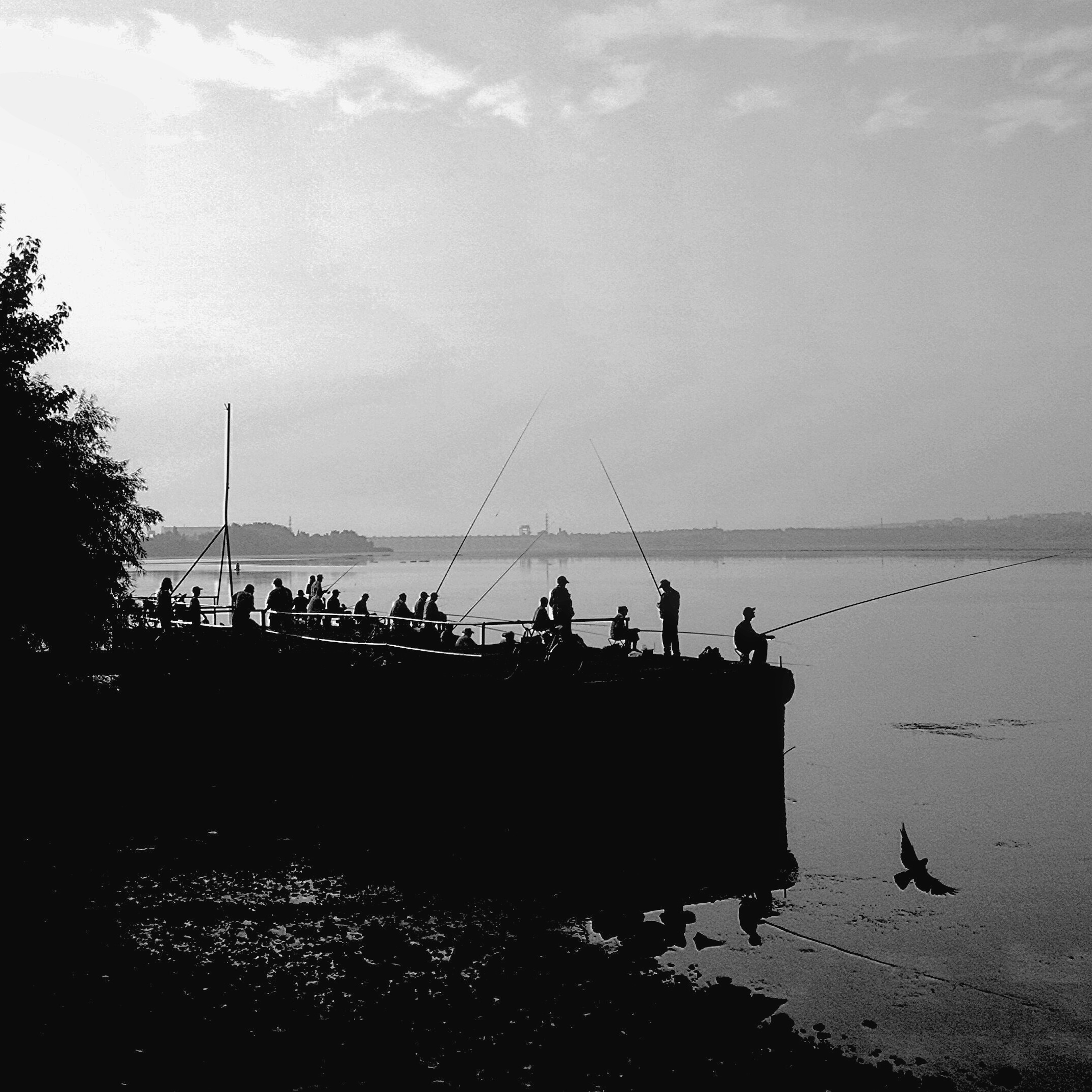 Мобільна фотографія. Фотограф Пушкін Петро