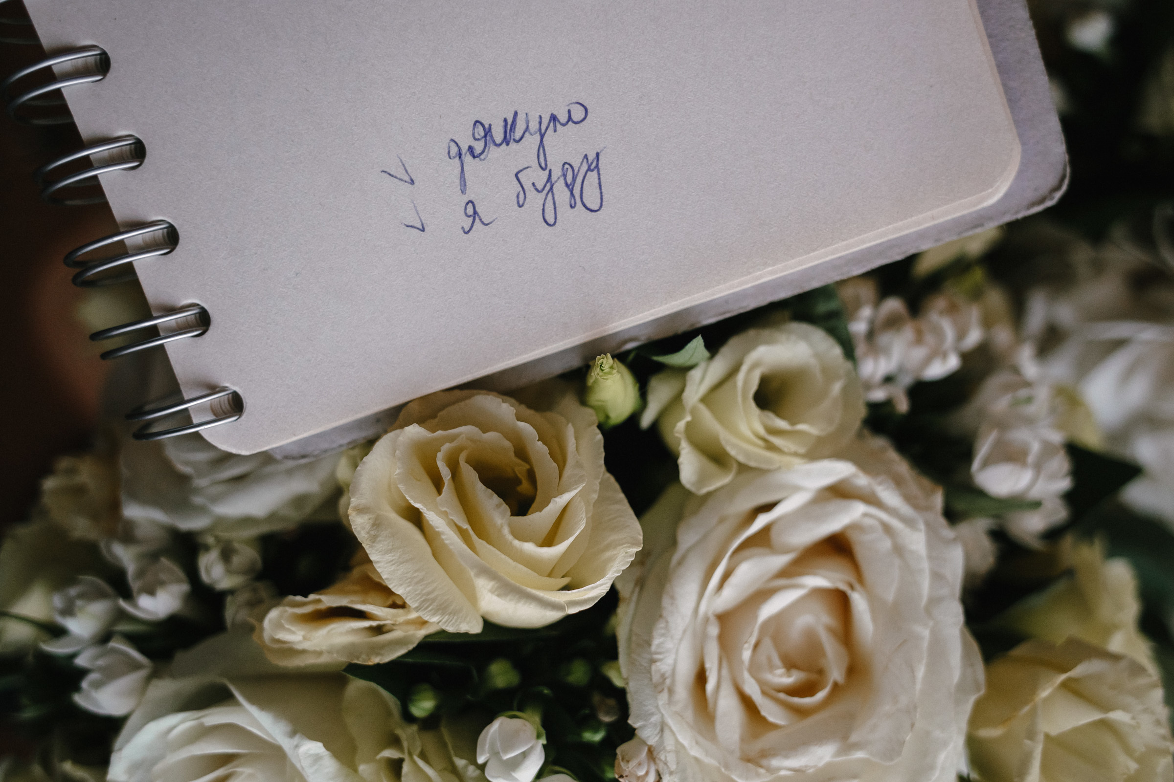 LAZURNE WEDDING. Peter Pushkin Photographer