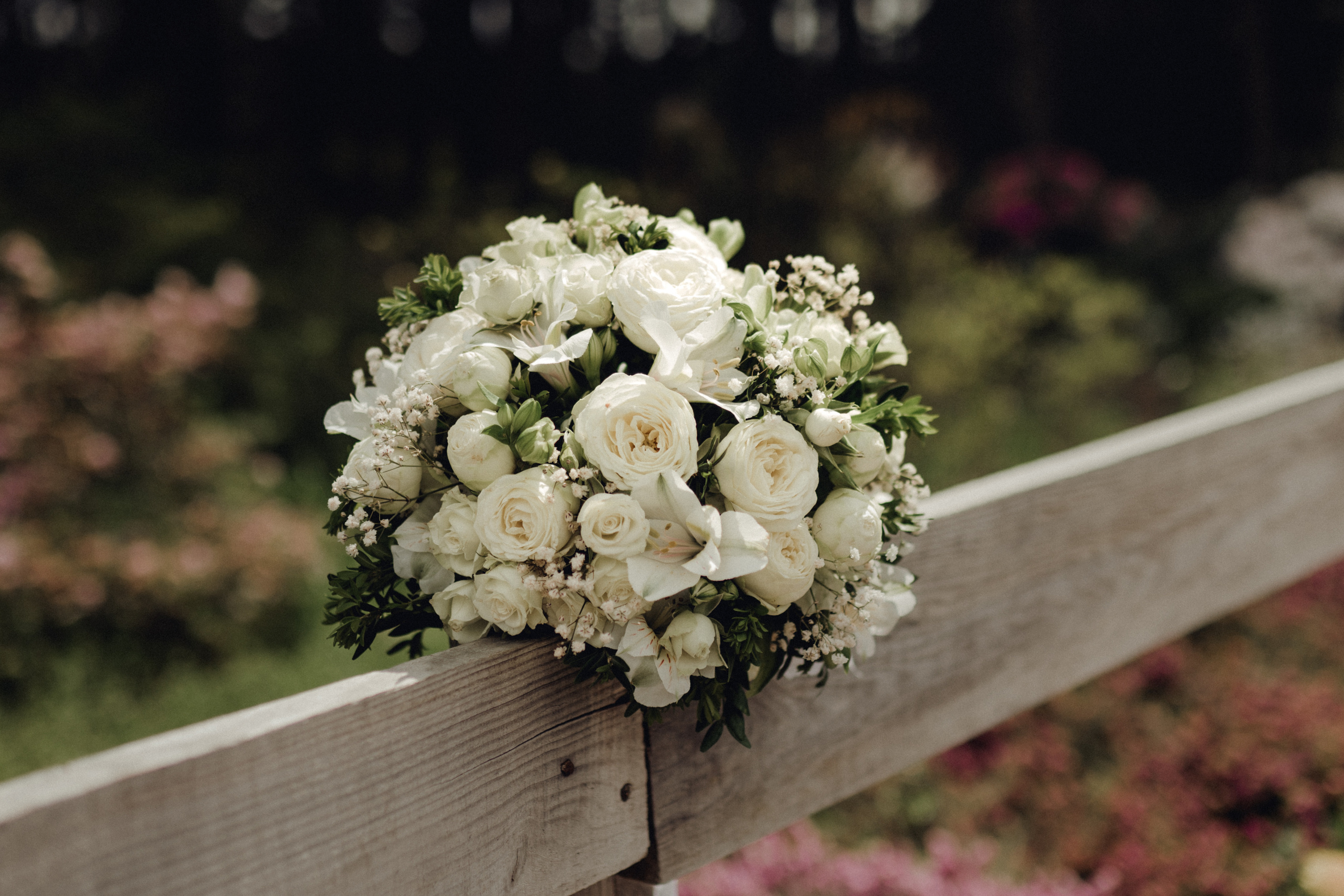 Весільна фотосесія — Ботанічний сад. Professional photographer in Paris — Shybitska Iryna