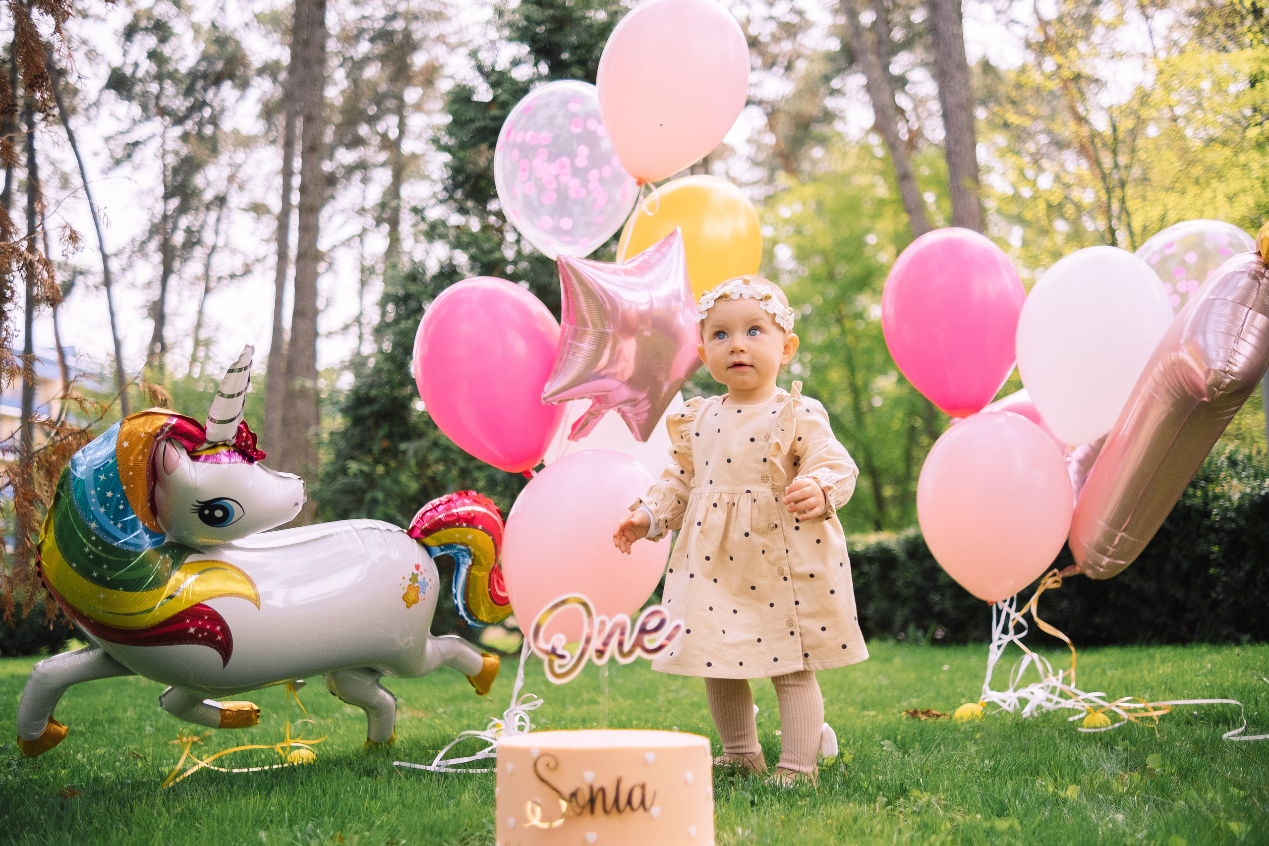 Sonia 1. Плотиця Олександр. Весільний та сімейний фотограф