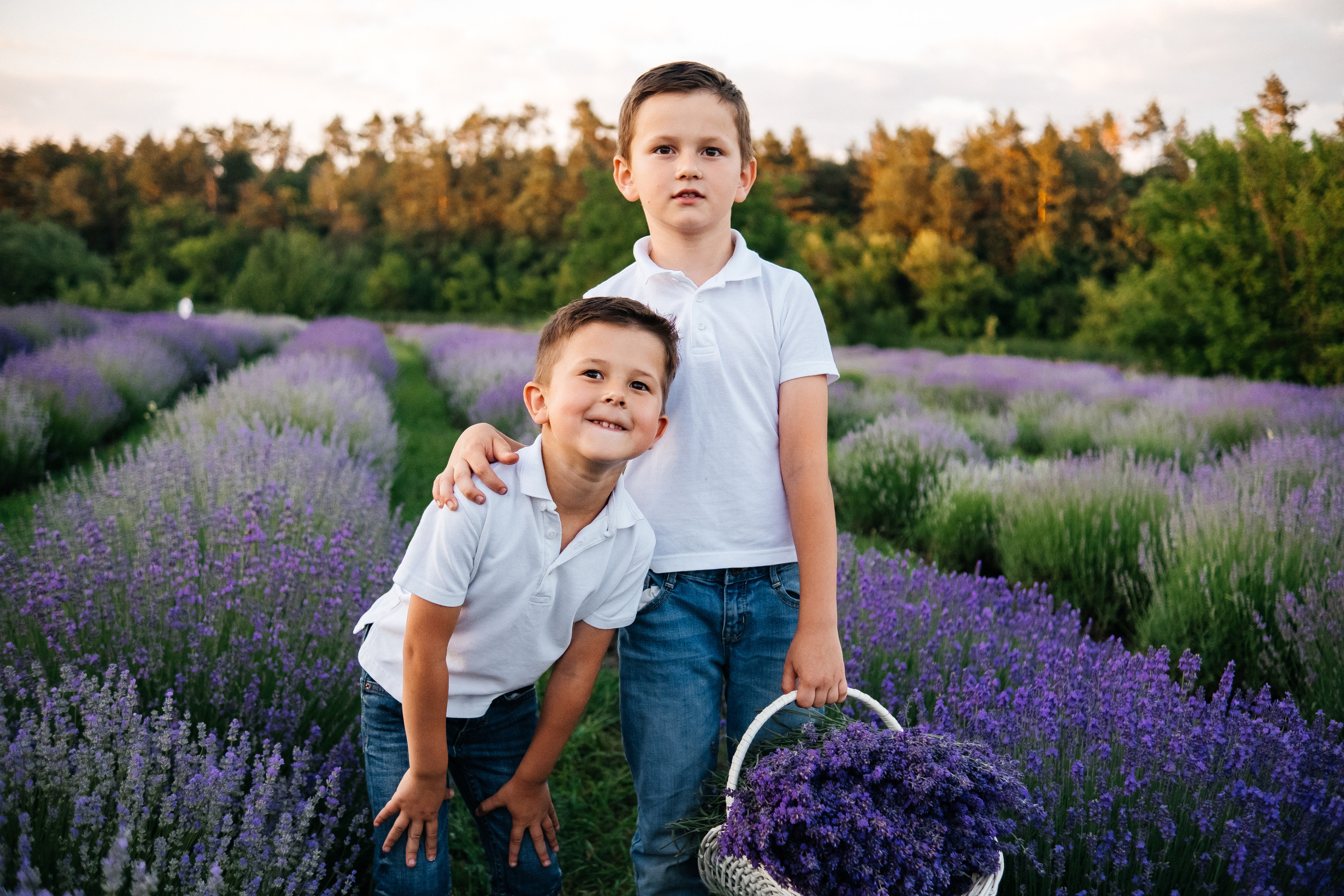 Lavanda. Плотиця Олександр. Весільний та сімейний фотограф