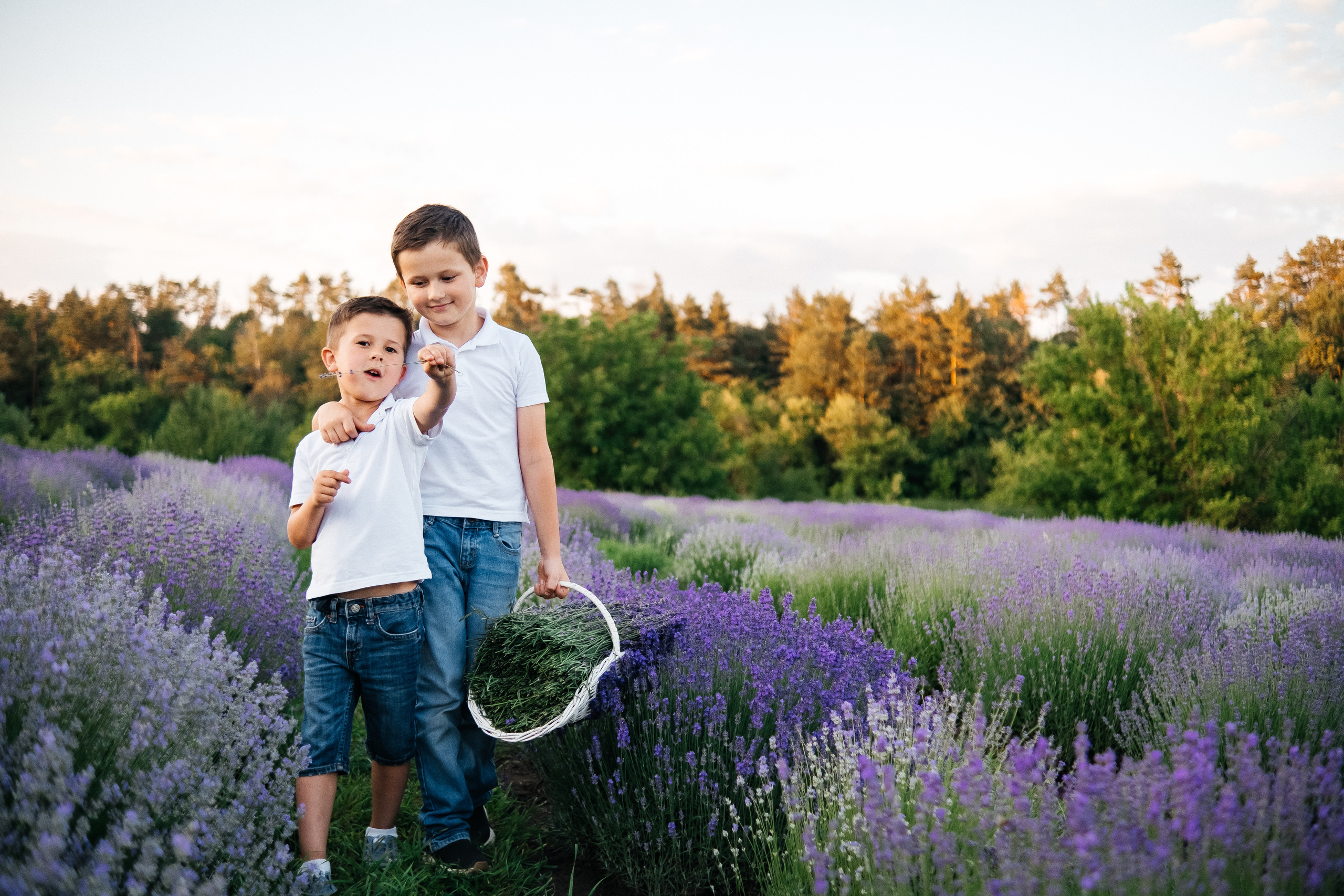 Lavanda. Плотиця Олександр. Весільний та сімейний фотограф