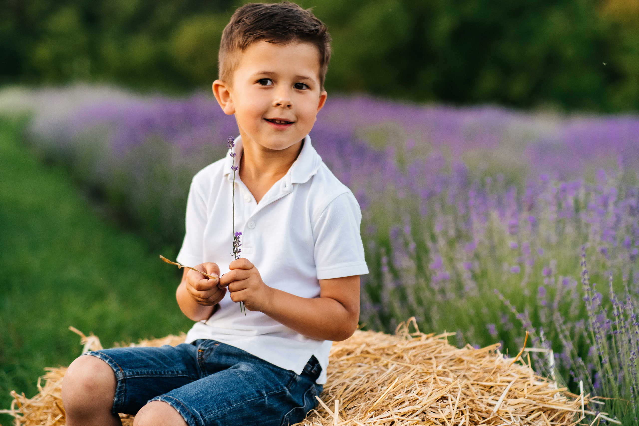 Lavanda. Плотиця Олександр. Весільний та сімейний фотограф