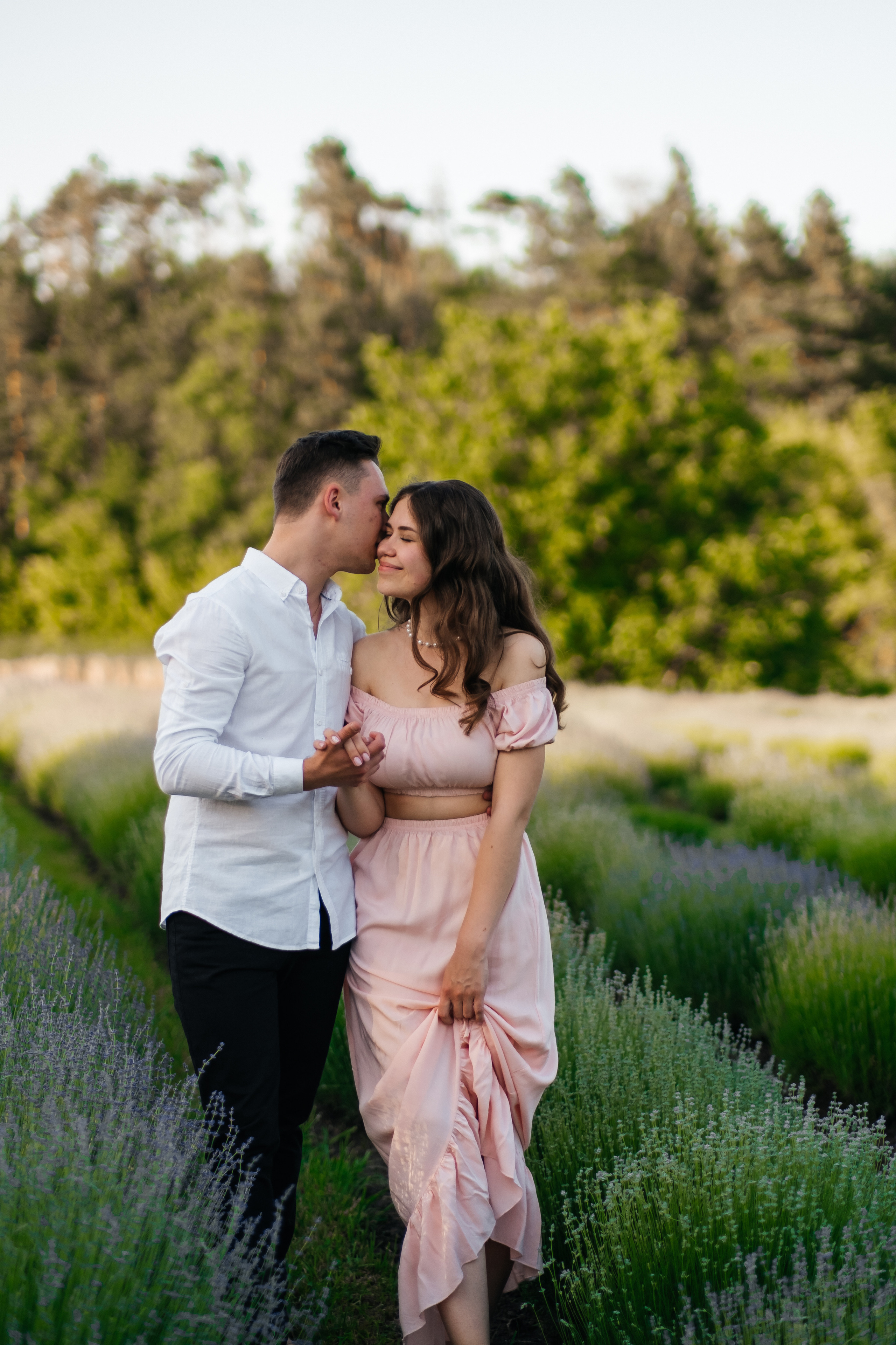 Вона сказала ТАК…. лавандове кохання. Плотиця Олександр. Весільний та сімейний фотограф