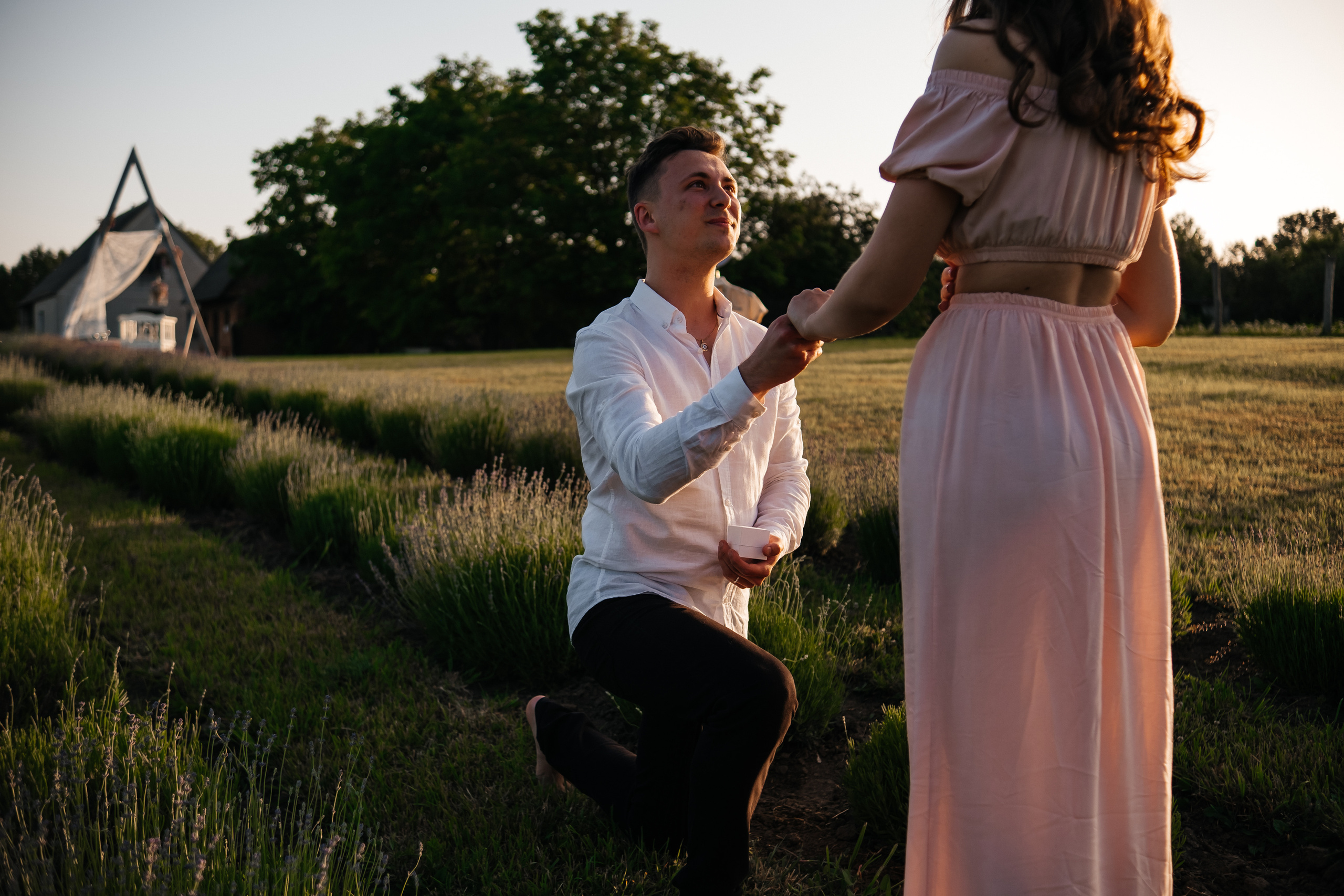 Вона сказала ТАК…. лавандове кохання. Плотиця Олександр. Весільний та сімейний фотограф