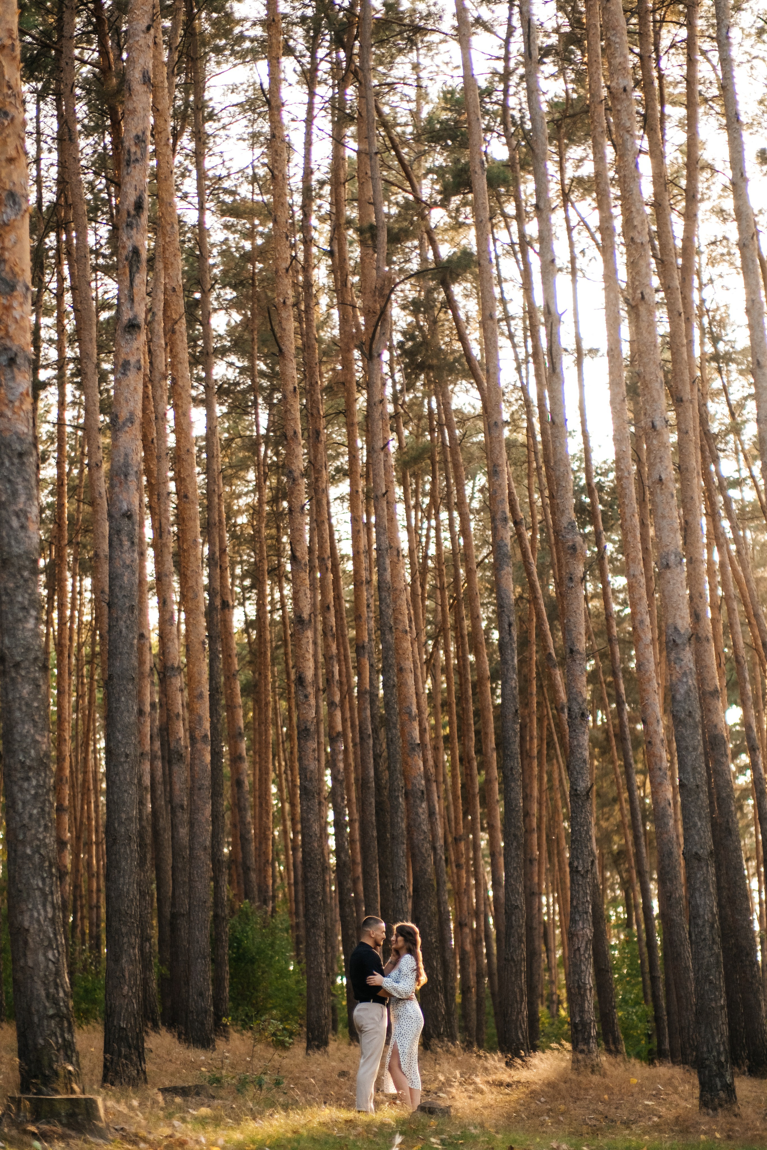 Влад та Юля. Плотиця Олександр. Весільний та сімейний фотограф