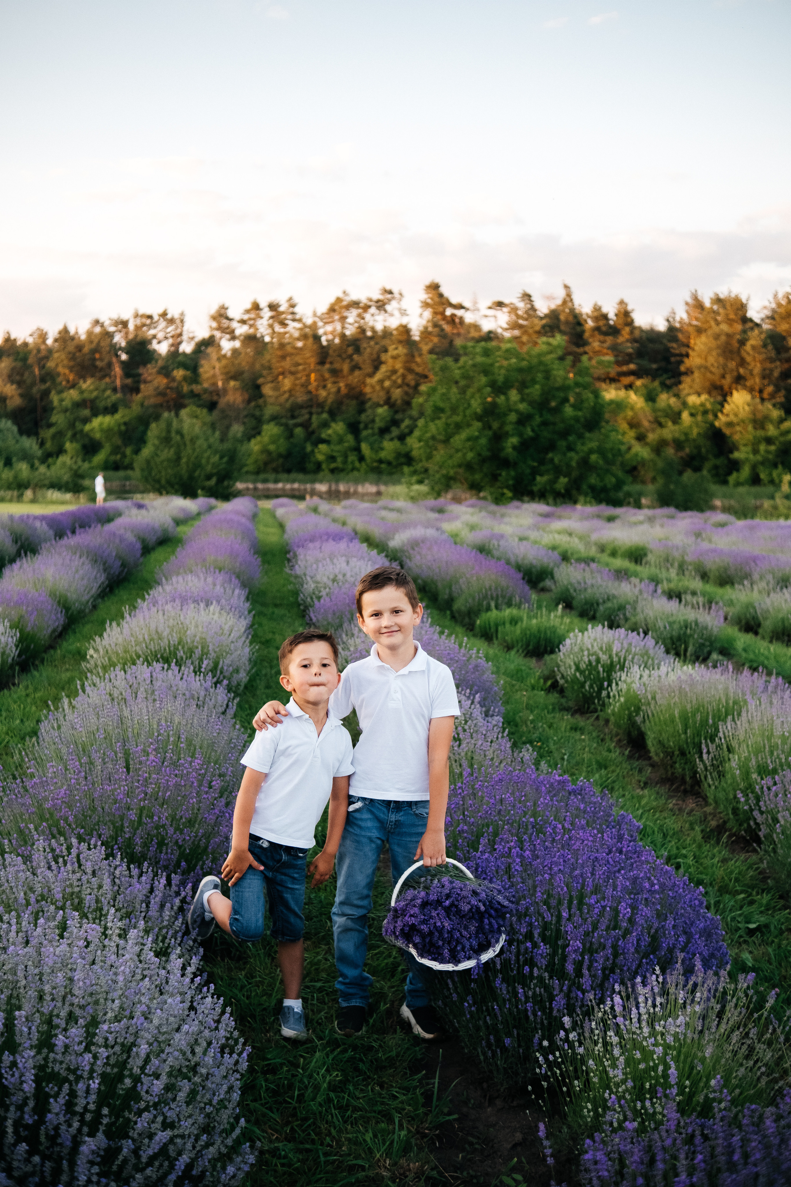 Lavanda. Плотиця Олександр. Весільний та сімейний фотограф