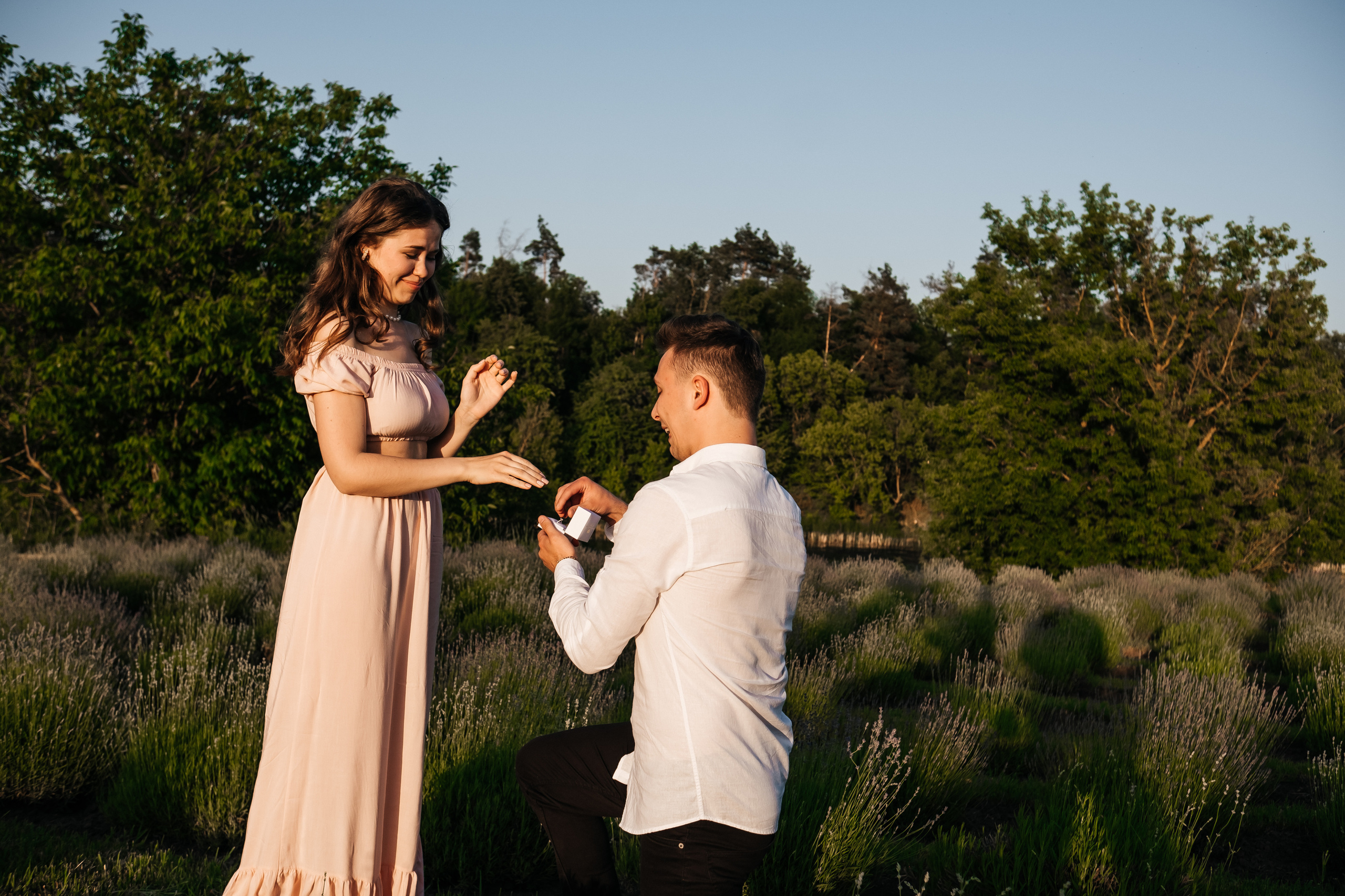 Вона сказала ТАК…. лавандове кохання. Плотиця Олександр. Весільний та сімейний фотограф