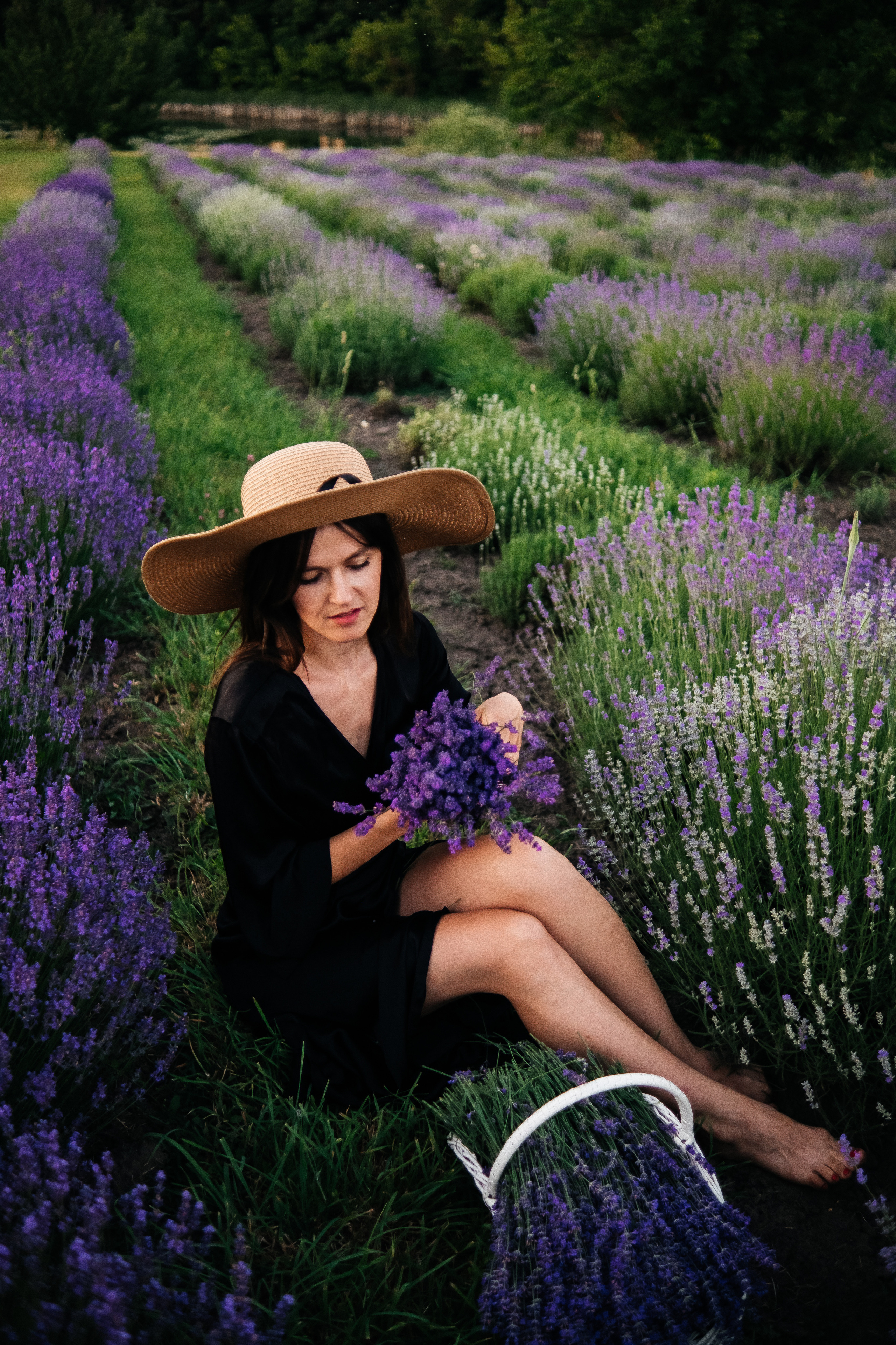 Lavanda. Плотиця Олександр. Весільний та сімейний фотограф