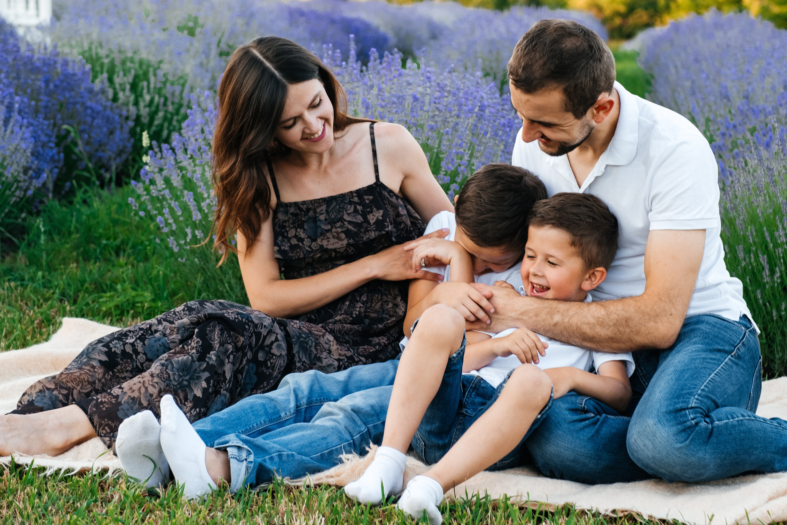 Lavanda. Плотиця Олександр. Весільний та сімейний фотограф