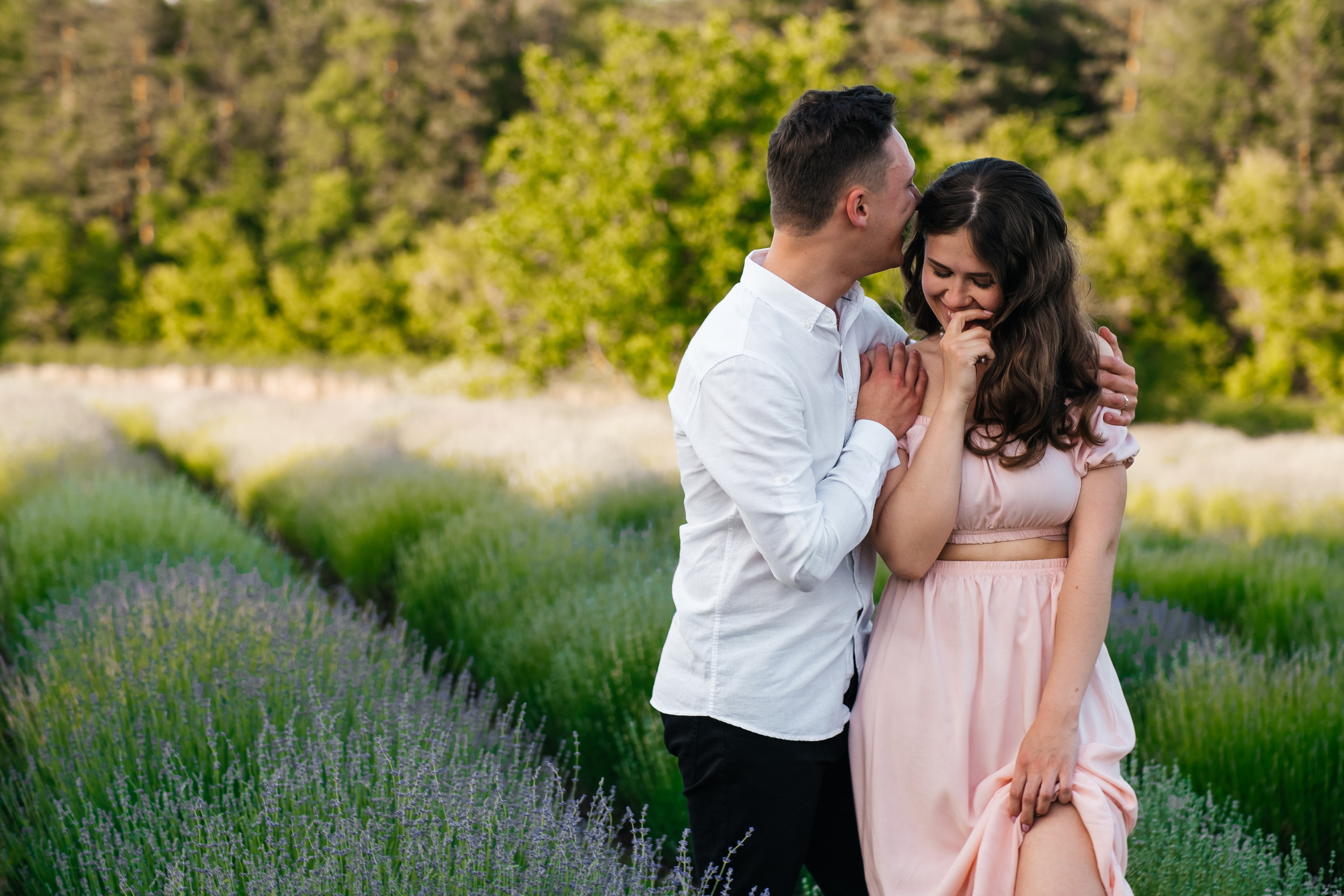 Вона сказала ТАК…. лавандове кохання. Плотиця Олександр. Весільний та сімейний фотограф