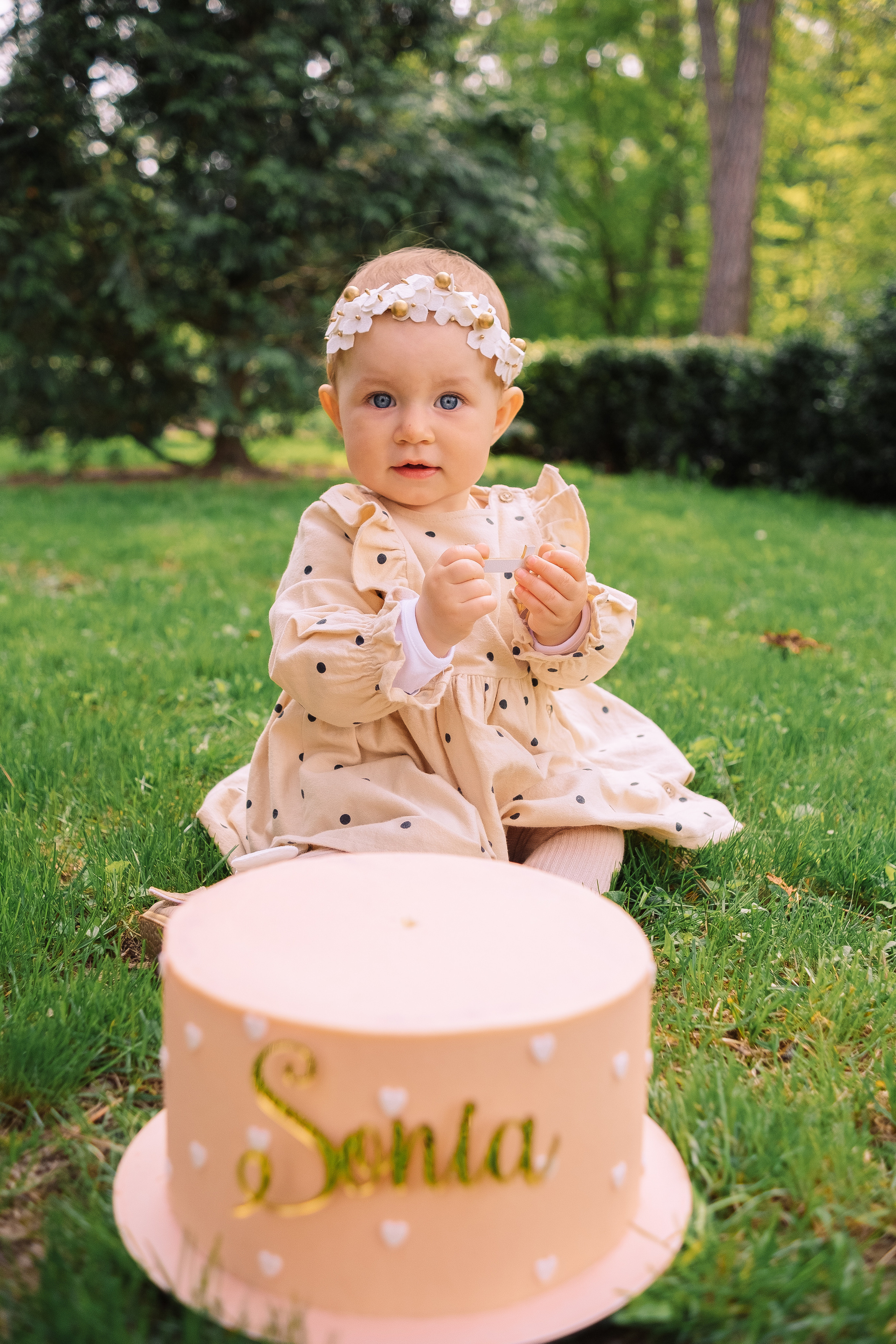 Sonia 1. Плотиця Олександр. Весільний та сімейний фотограф