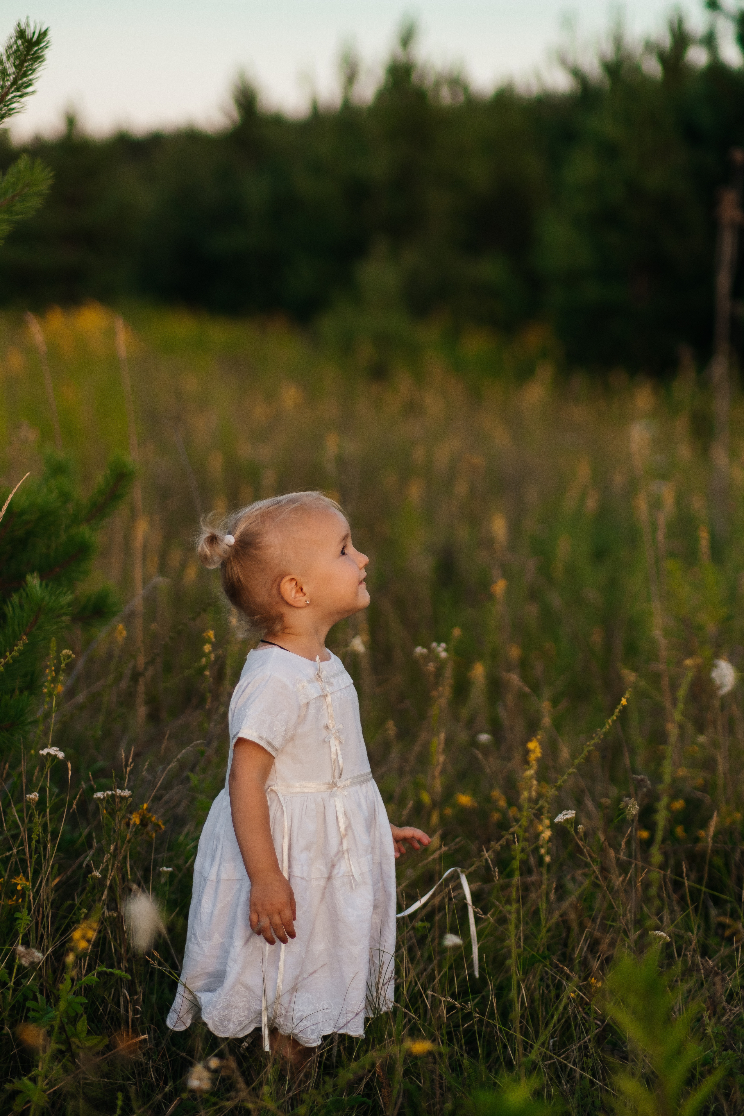 July 22. Плотиця Олександр. Весільний та сімейний фотограф