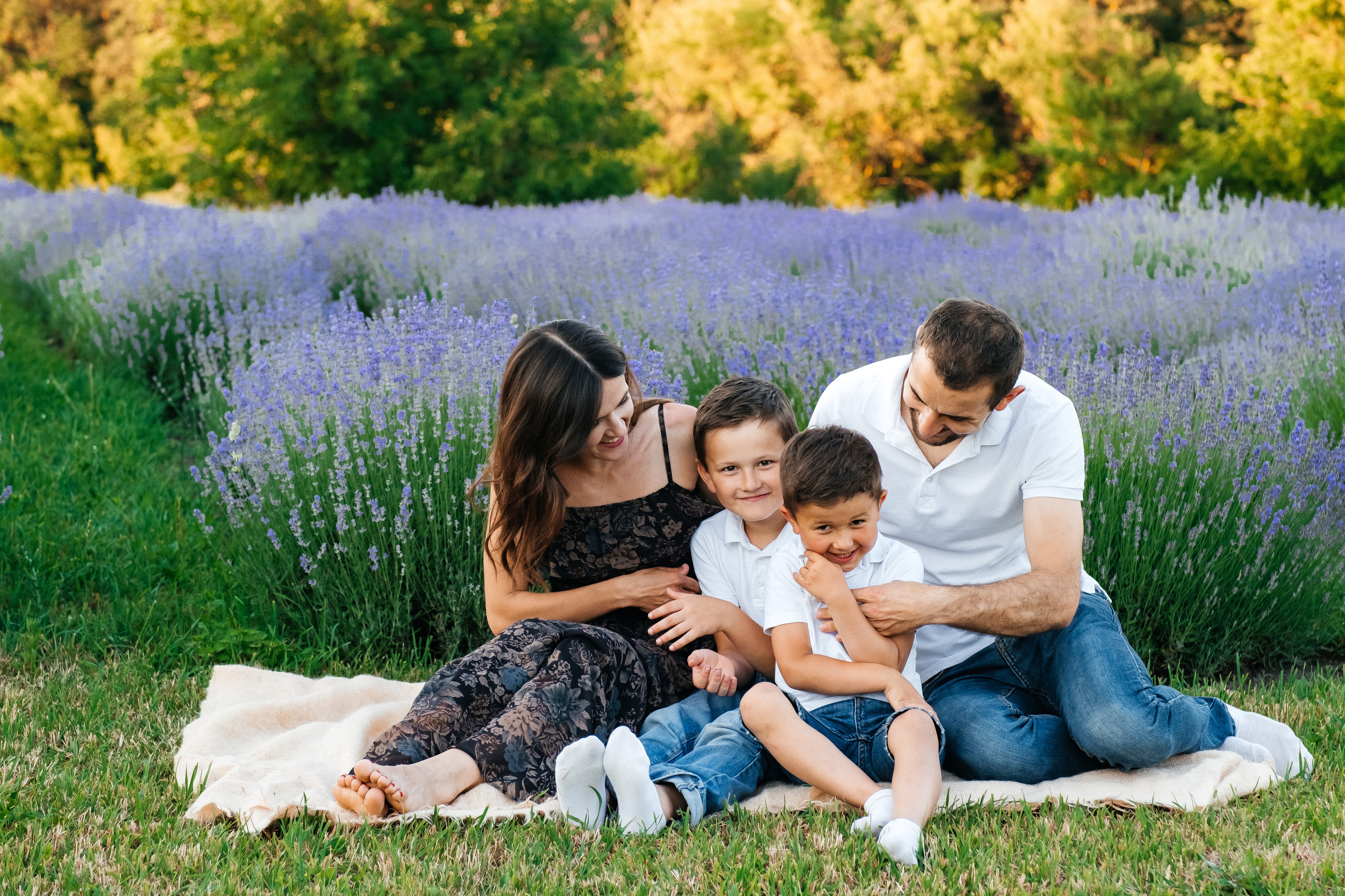 Lavanda. Плотиця Олександр. Весільний та сімейний фотограф