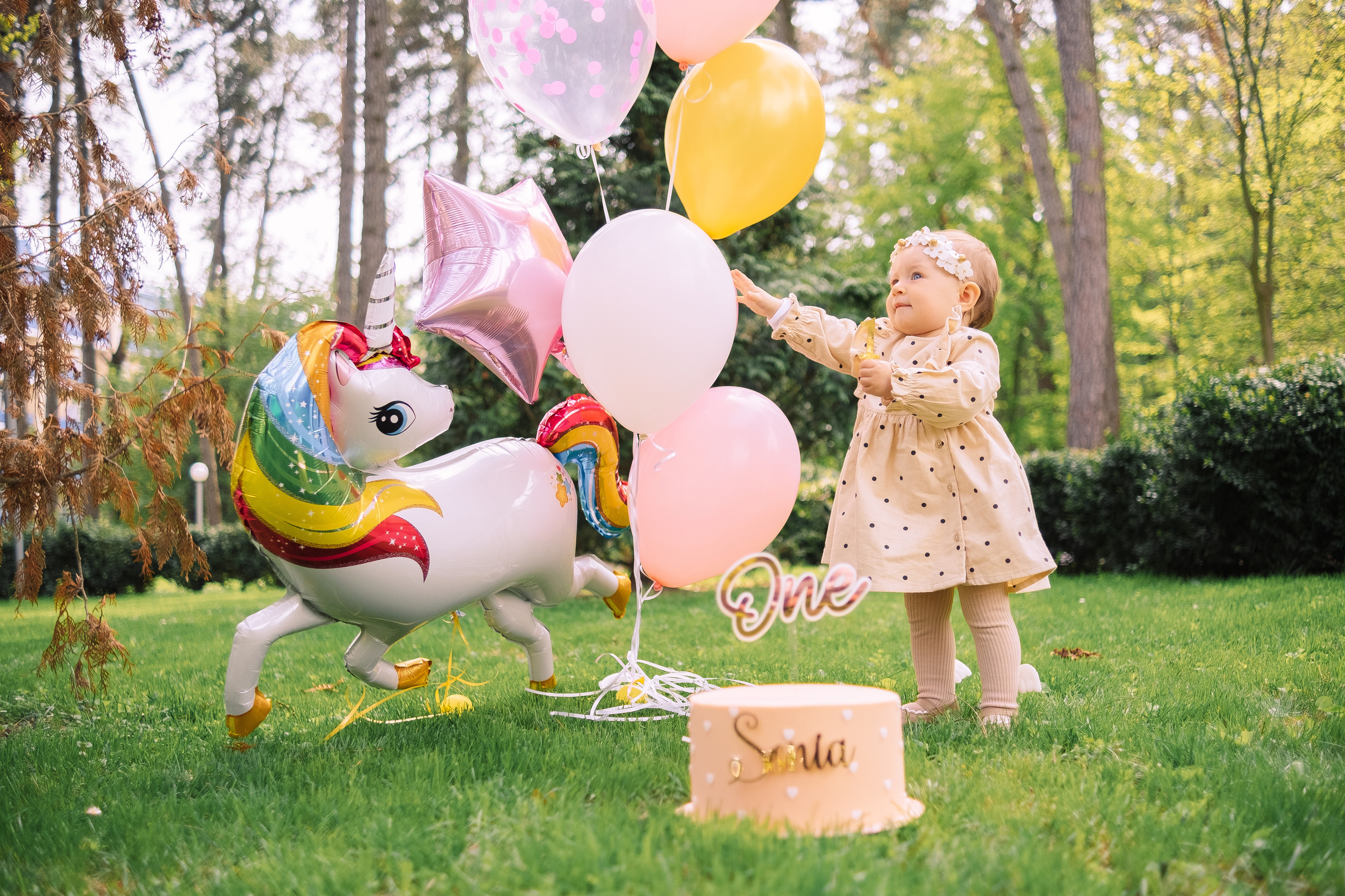 Sonia 1. Плотиця Олександр. Весільний та сімейний фотограф