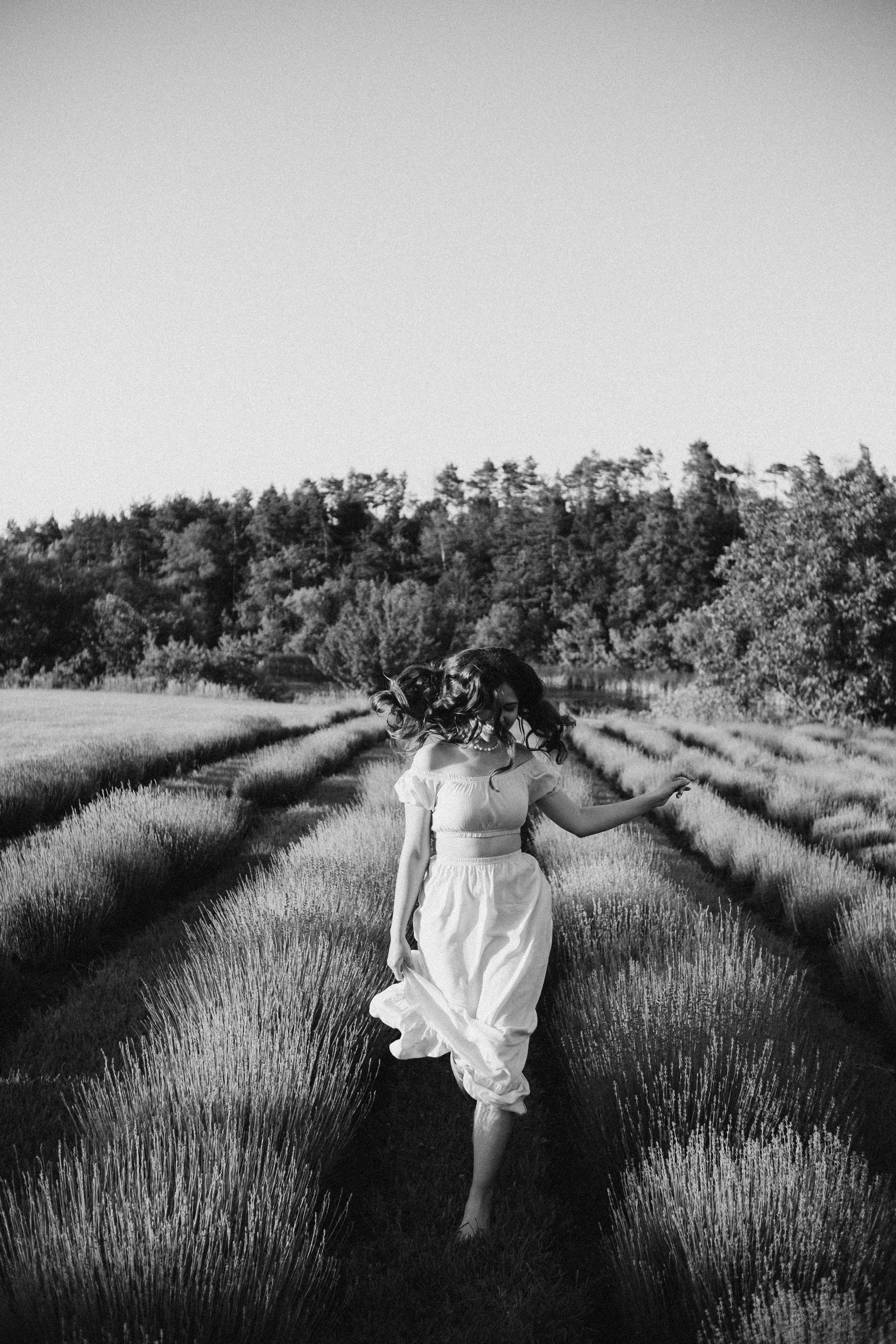 Вона сказала ТАК…. лавандове кохання. Плотиця Олександр. Весільний та сімейний фотограф