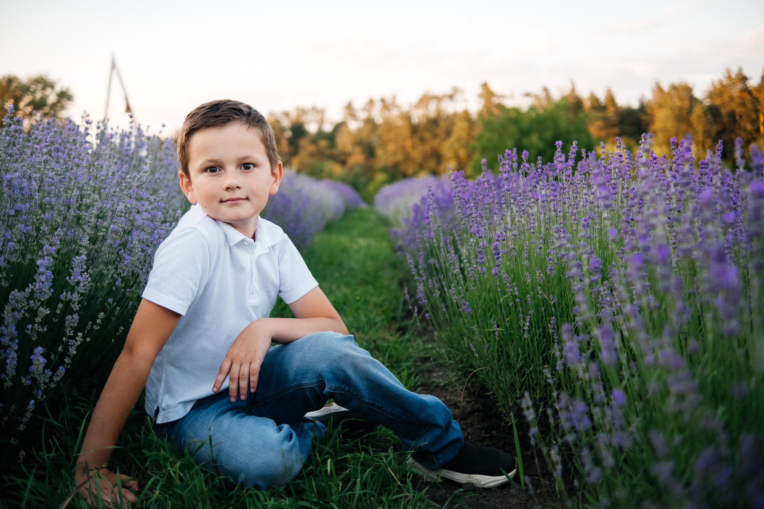 Lavanda. Плотиця Олександр. Весільний та сімейний фотограф