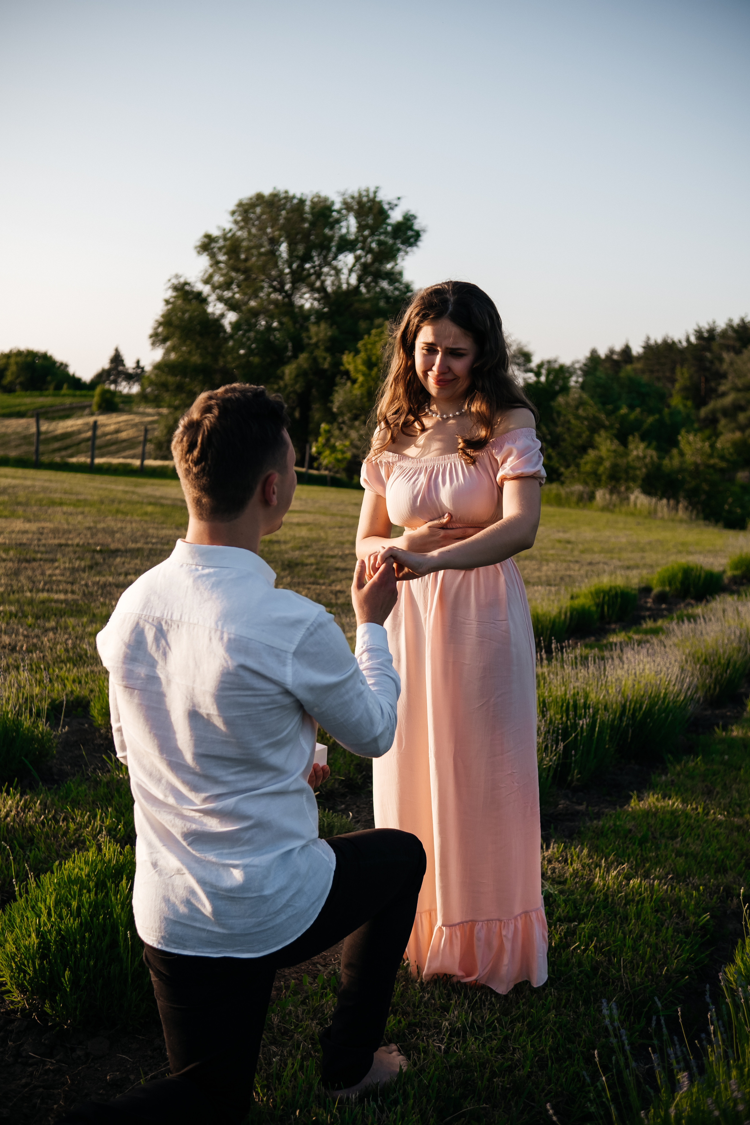 Вона сказала ТАК…. лавандове кохання. Плотиця Олександр. Весільний та сімейний фотограф