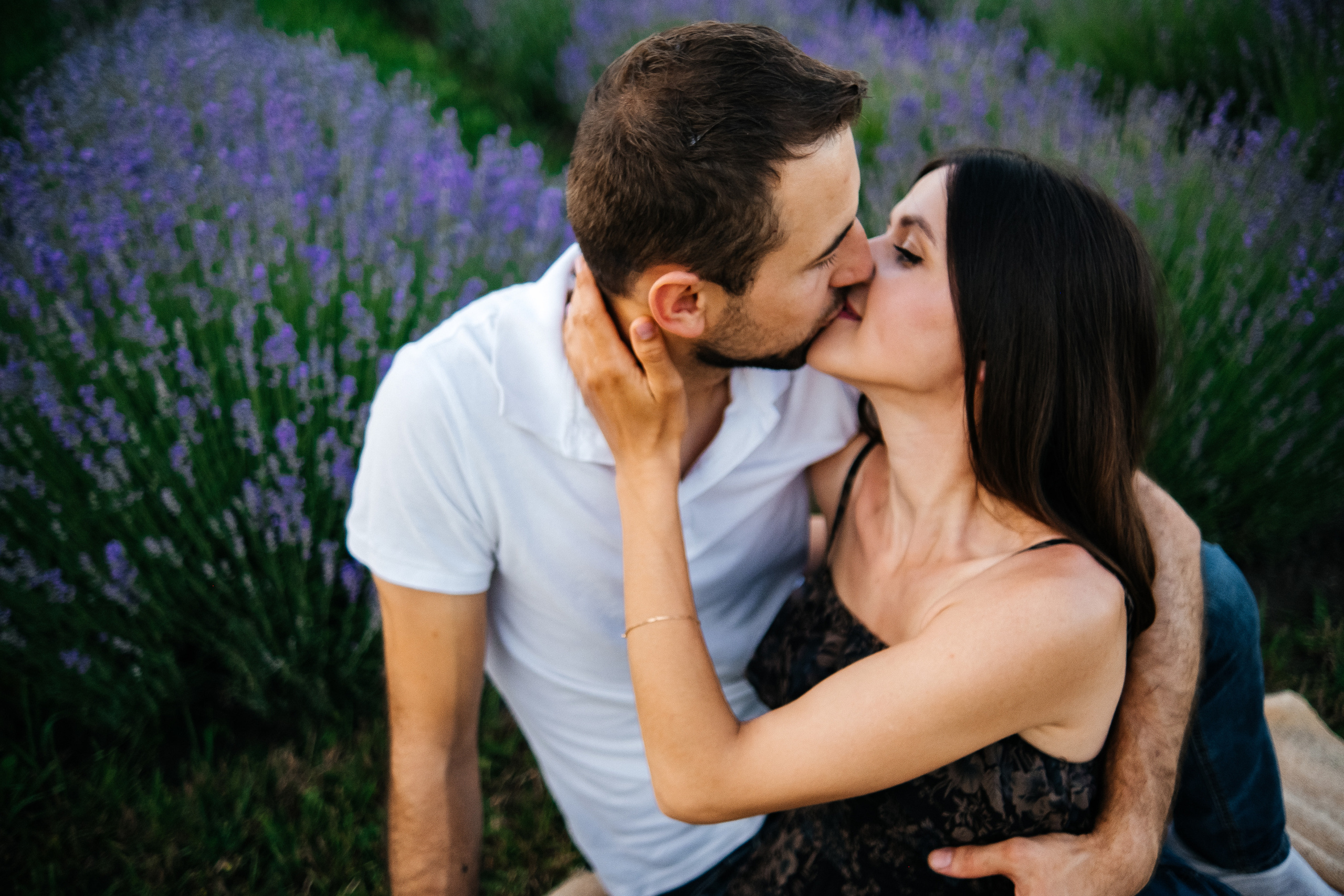 Lavanda. Плотиця Олександр. Весільний та сімейний фотограф