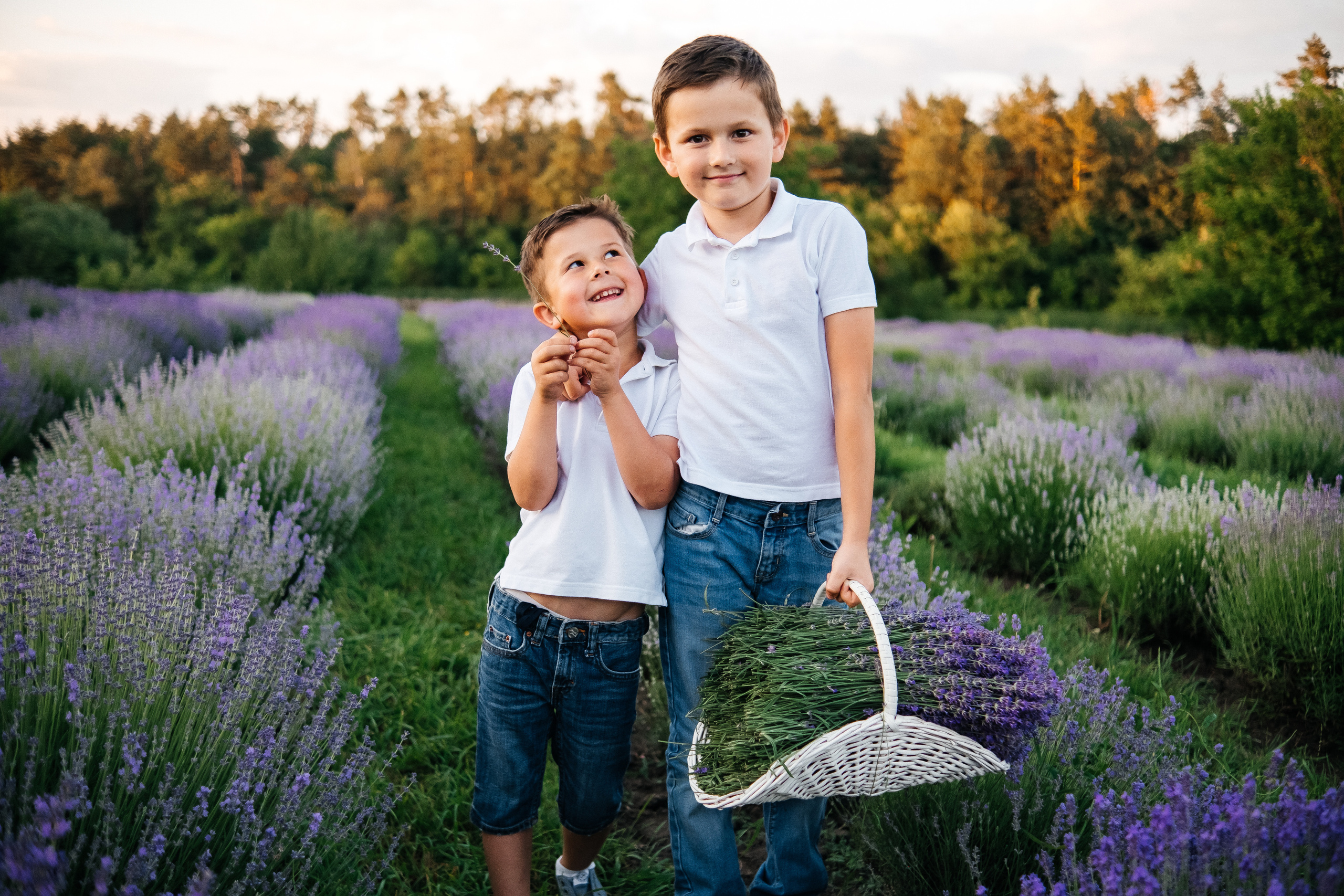 Lavanda. Плотиця Олександр. Весільний та сімейний фотограф