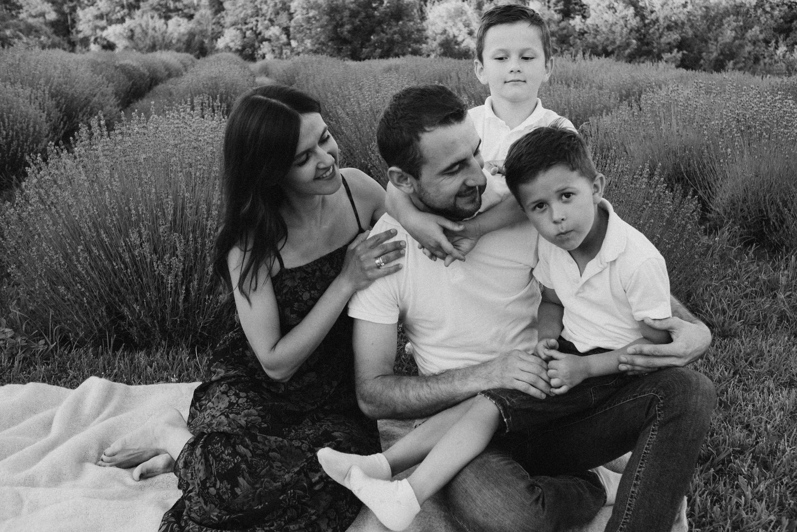 Lavanda. Плотиця Олександр. Весільний та сімейний фотограф