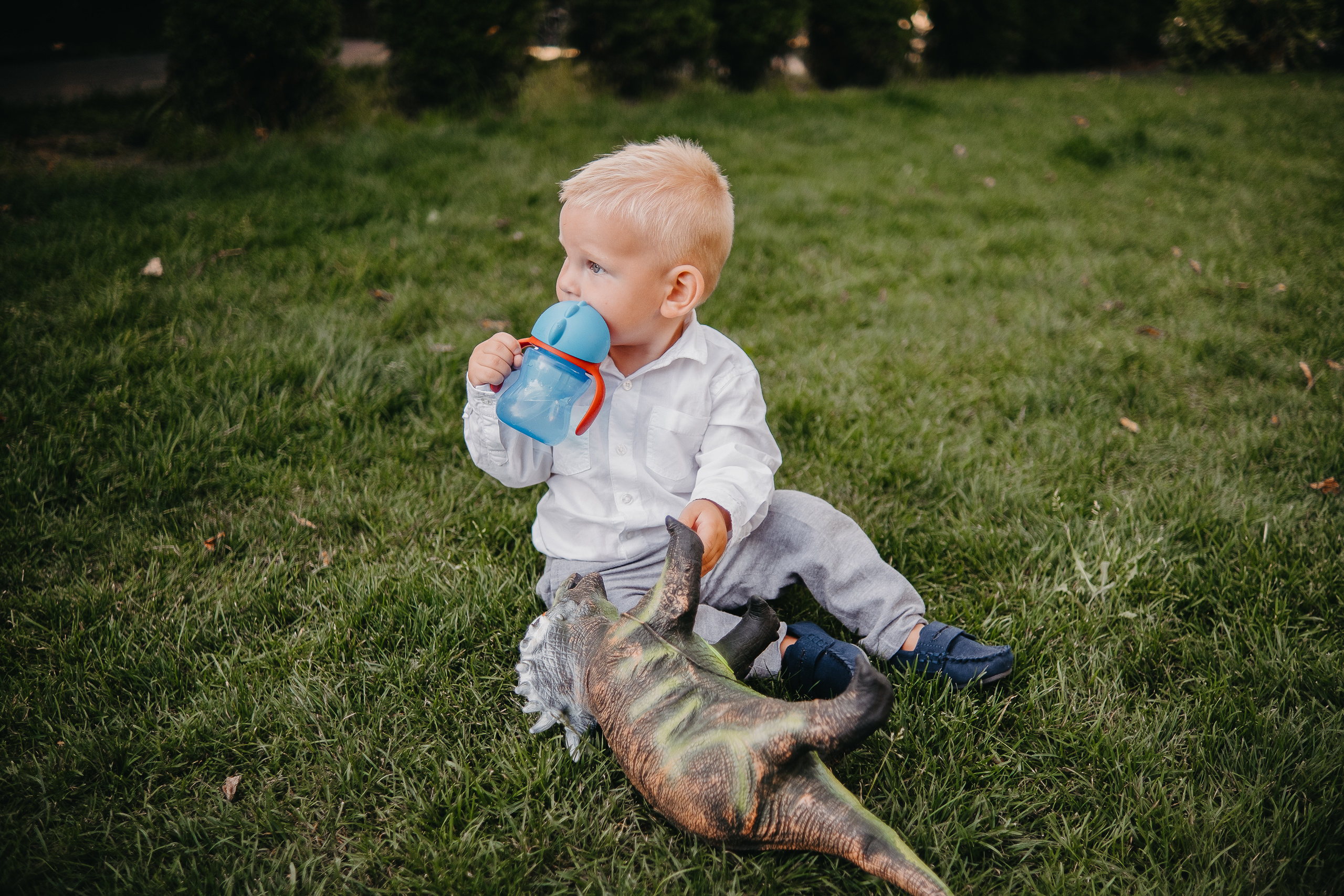 Варі 4. Плотиця Олександр. Весільний та сімейний фотограф