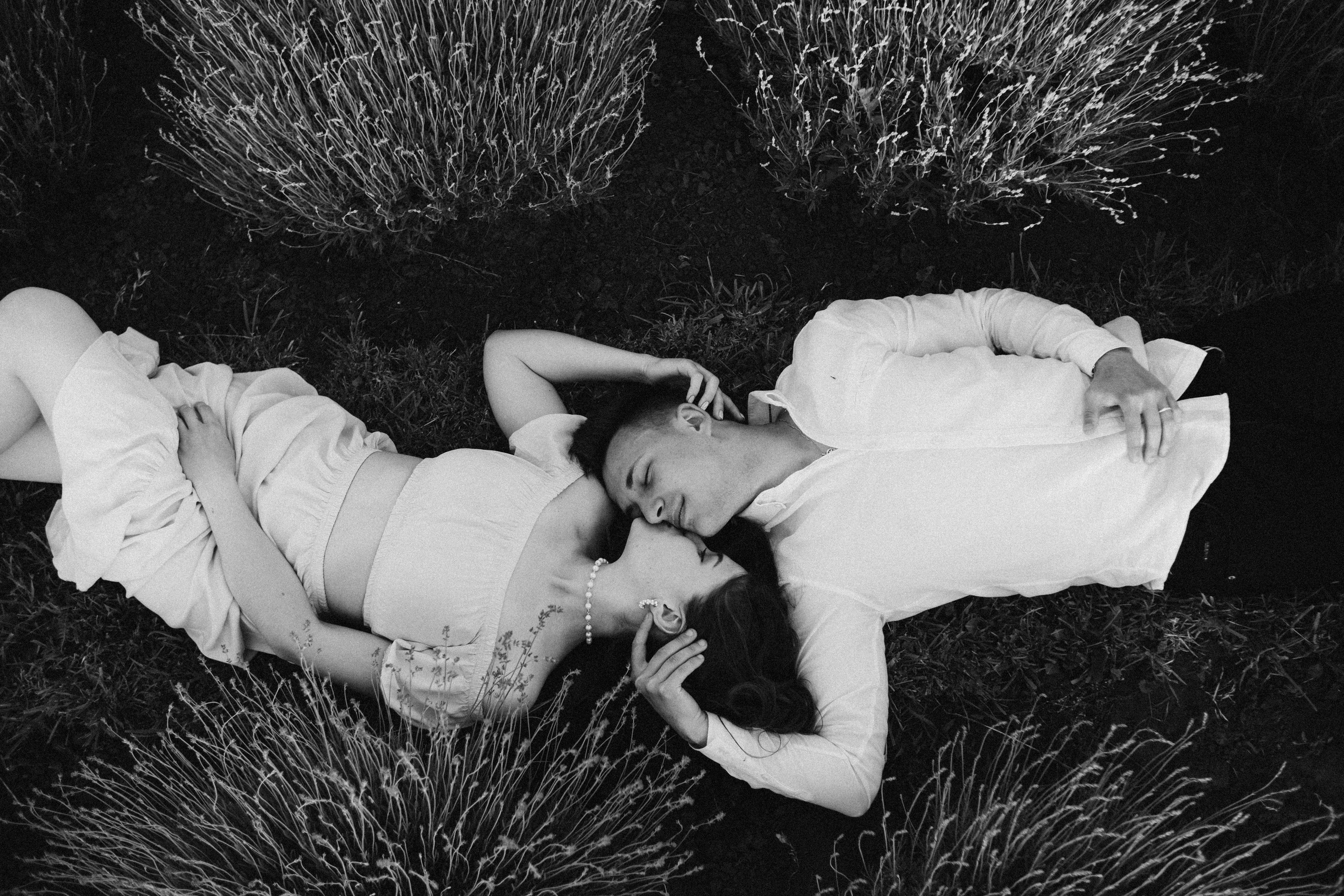 Вона сказала ТАК…. лавандове кохання. Плотиця Олександр. Весільний та сімейний фотограф