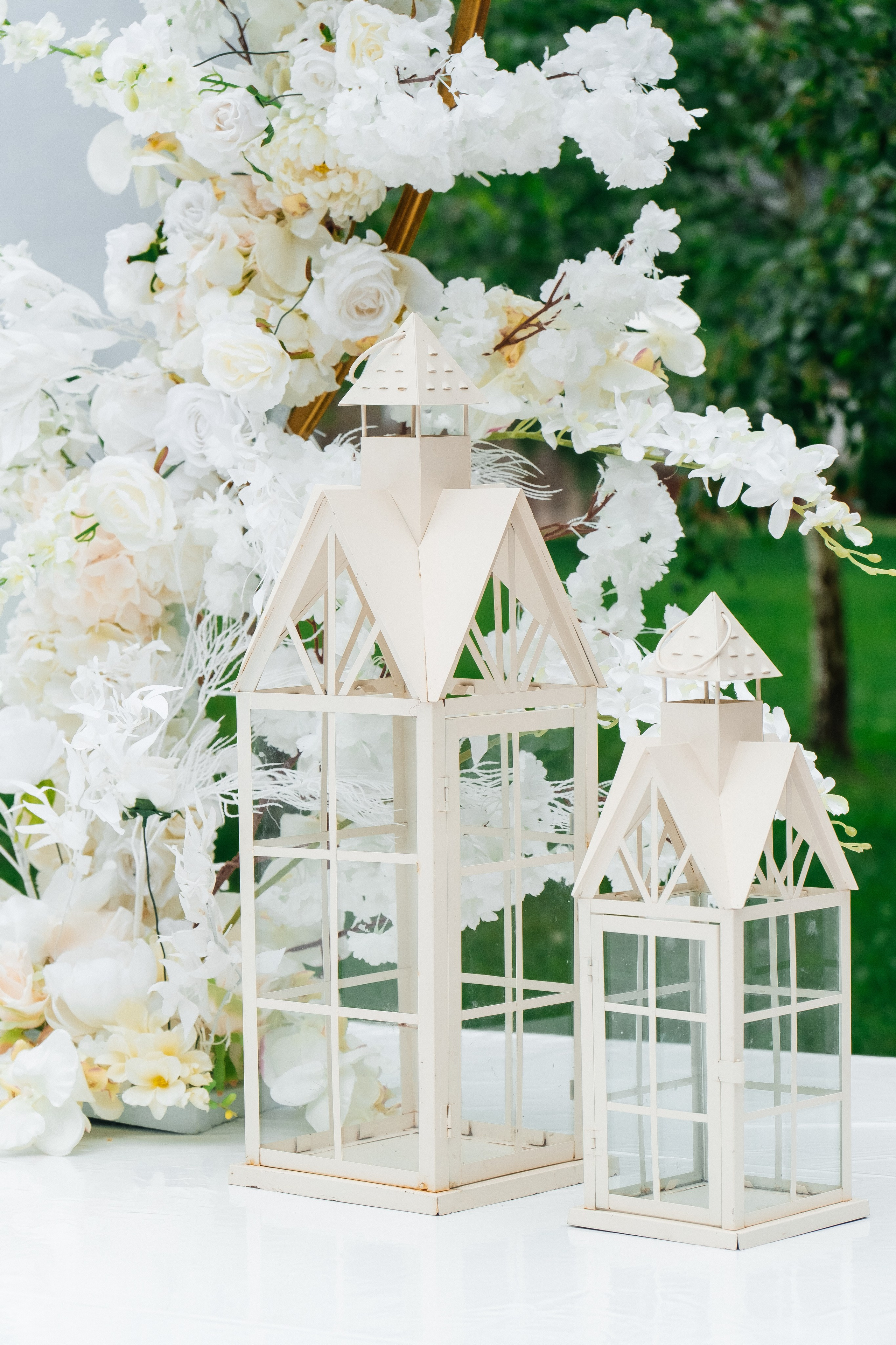 Даша та Сергій. Плотиця Олександр. Весільний та сімейний фотограф