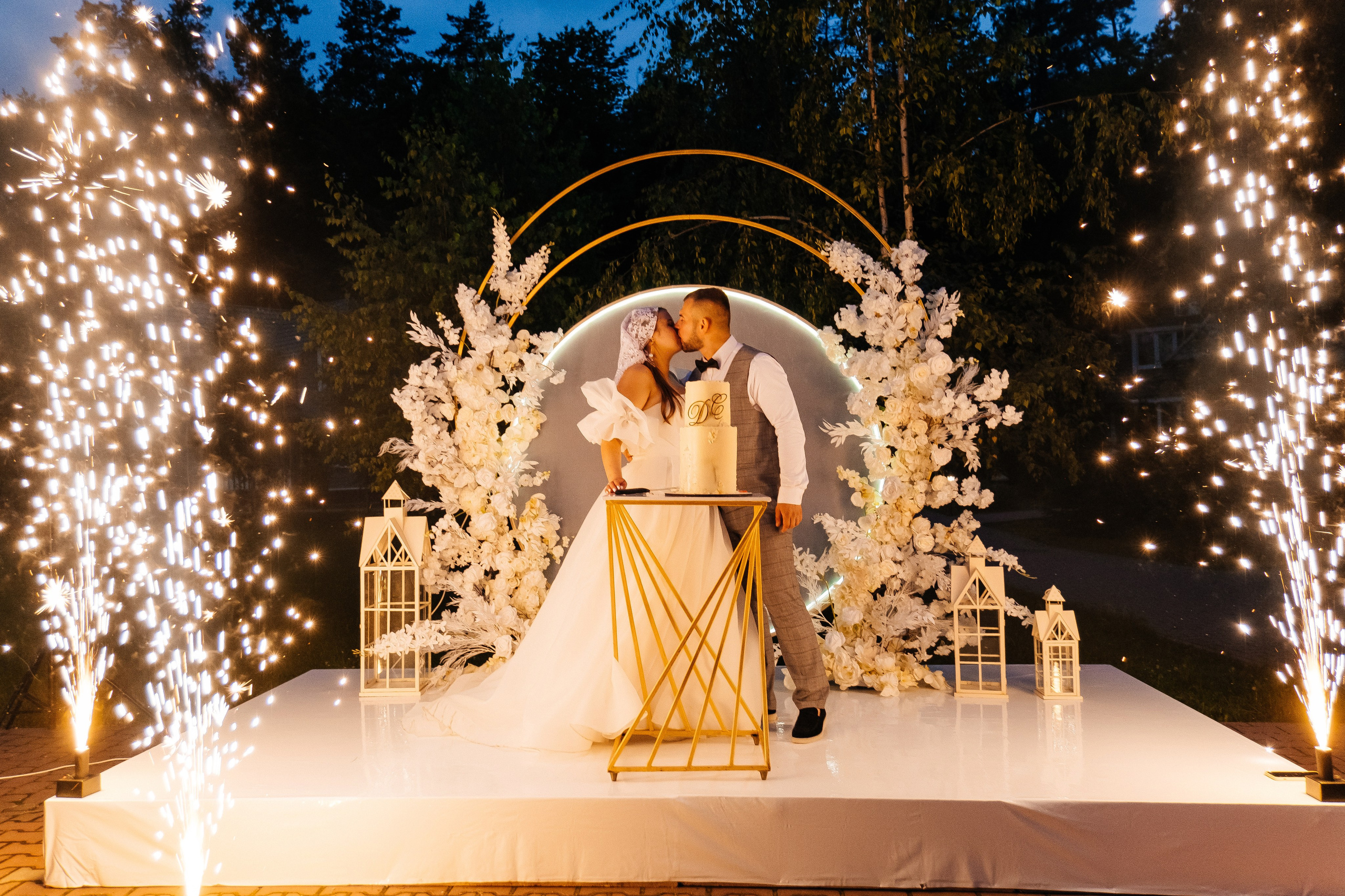 Даша та Сергій. Плотиця Олександр. Весільний та сімейний фотограф