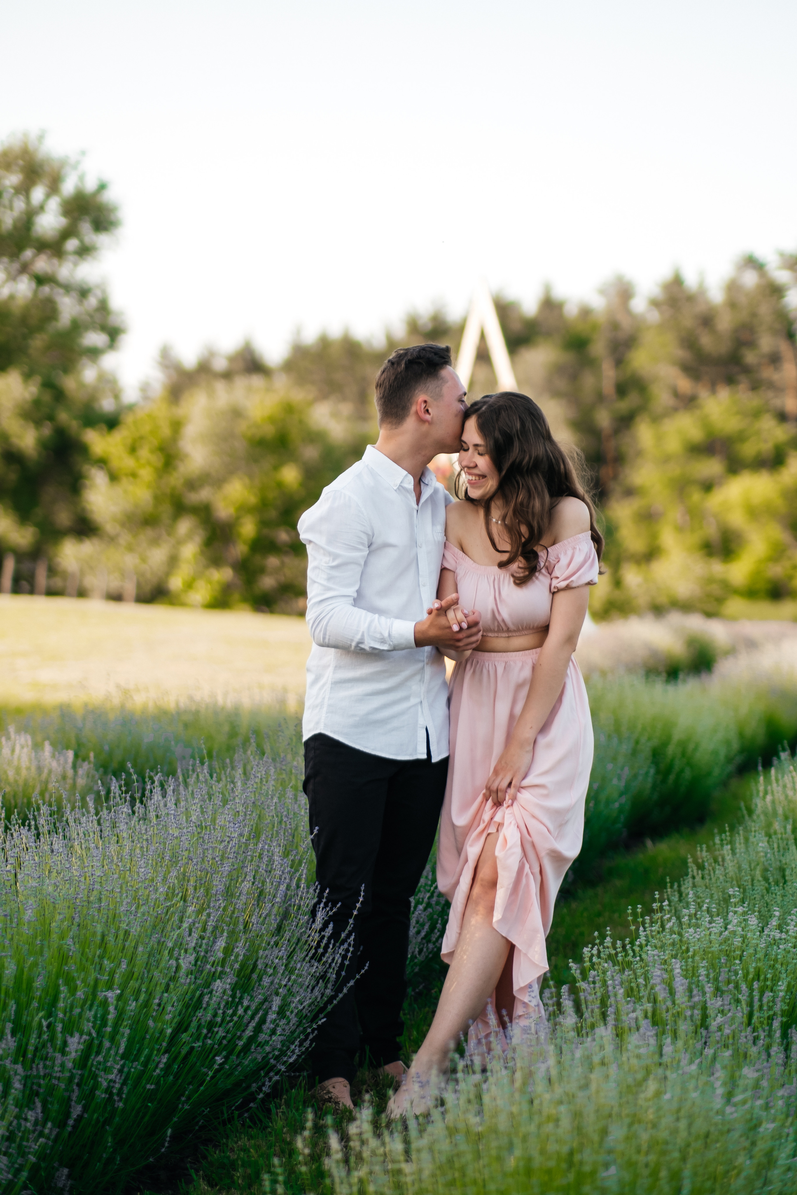 Вона сказала ТАК…. лавандове кохання. Плотиця Олександр. Весільний та сімейний фотограф