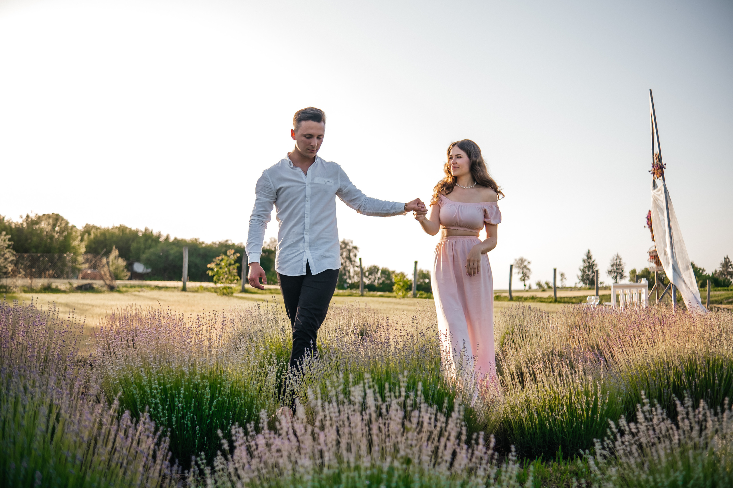Вона сказала ТАК…. лавандове кохання. Плотиця Олександр. Весільний та сімейний фотограф