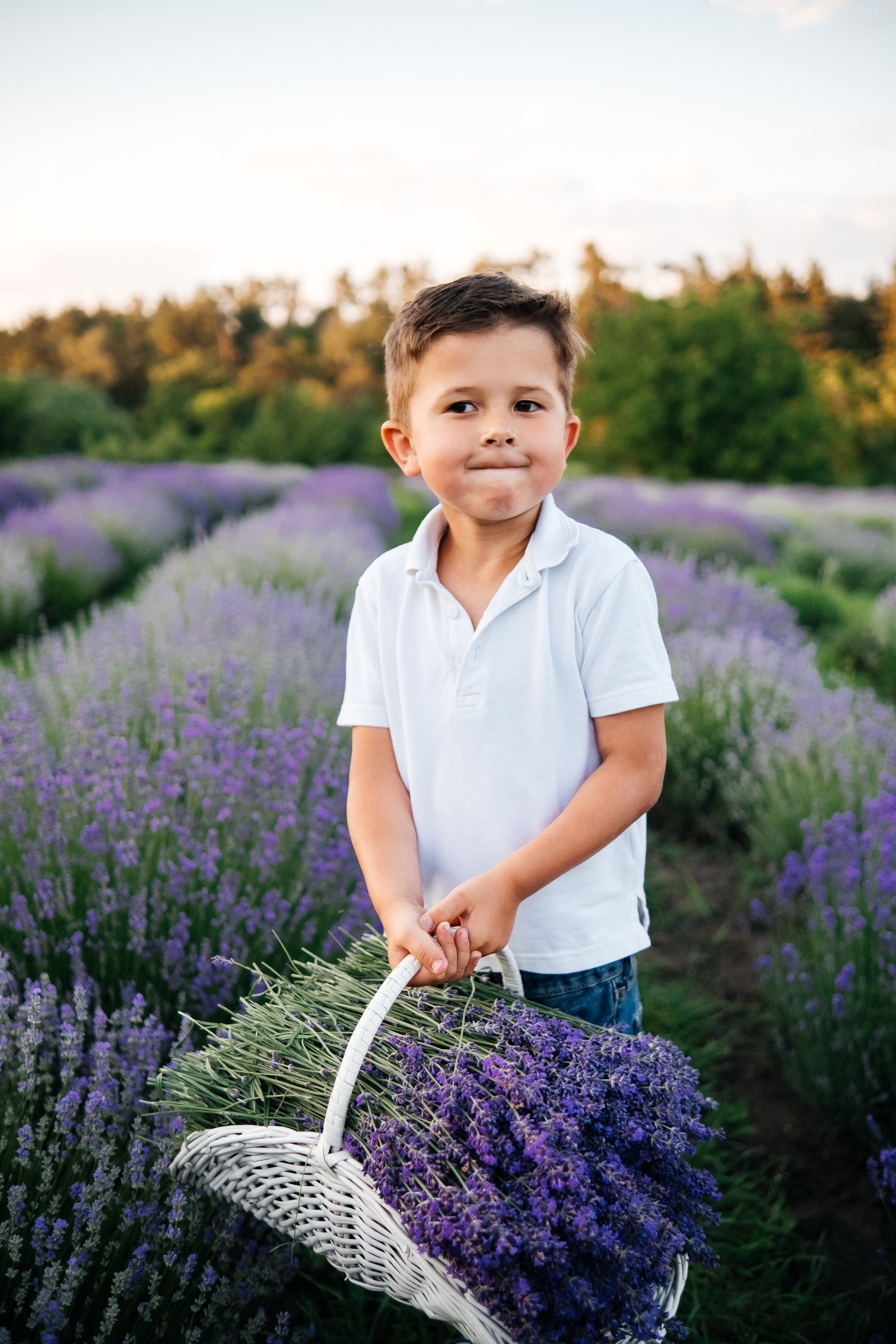 Lavanda. Плотиця Олександр. Весільний та сімейний фотограф