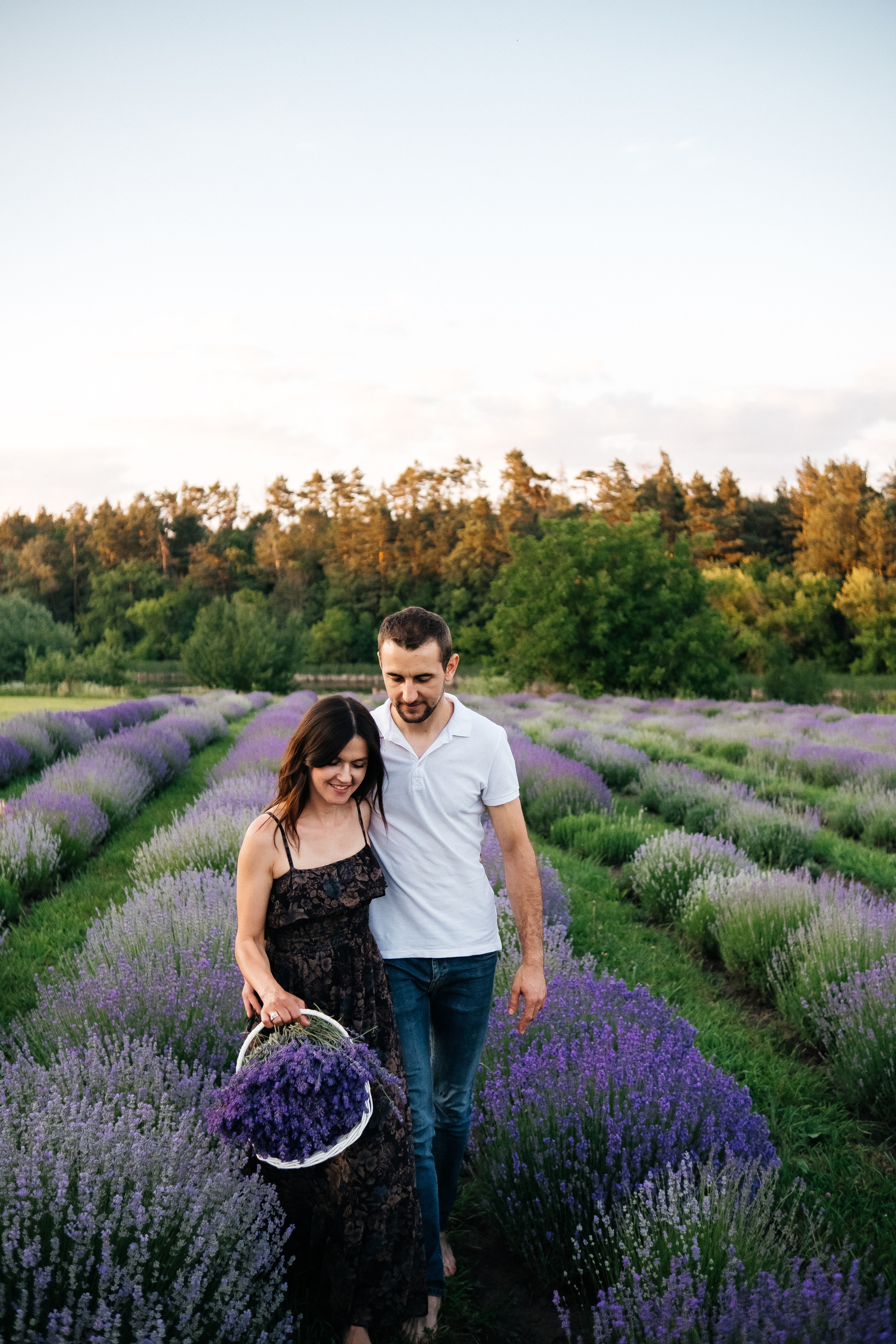 Lavanda. Плотиця Олександр. Весільний та сімейний фотограф
