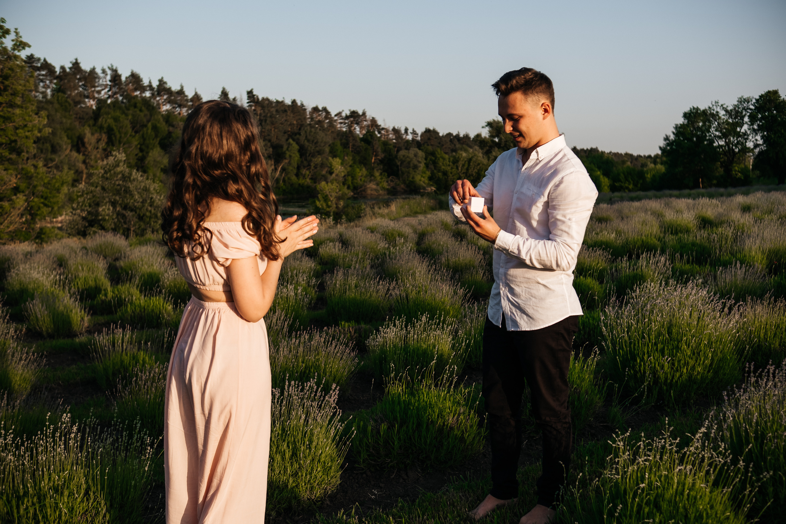 Вона сказала ТАК…. лавандове кохання. Плотиця Олександр. Весільний та сімейний фотограф