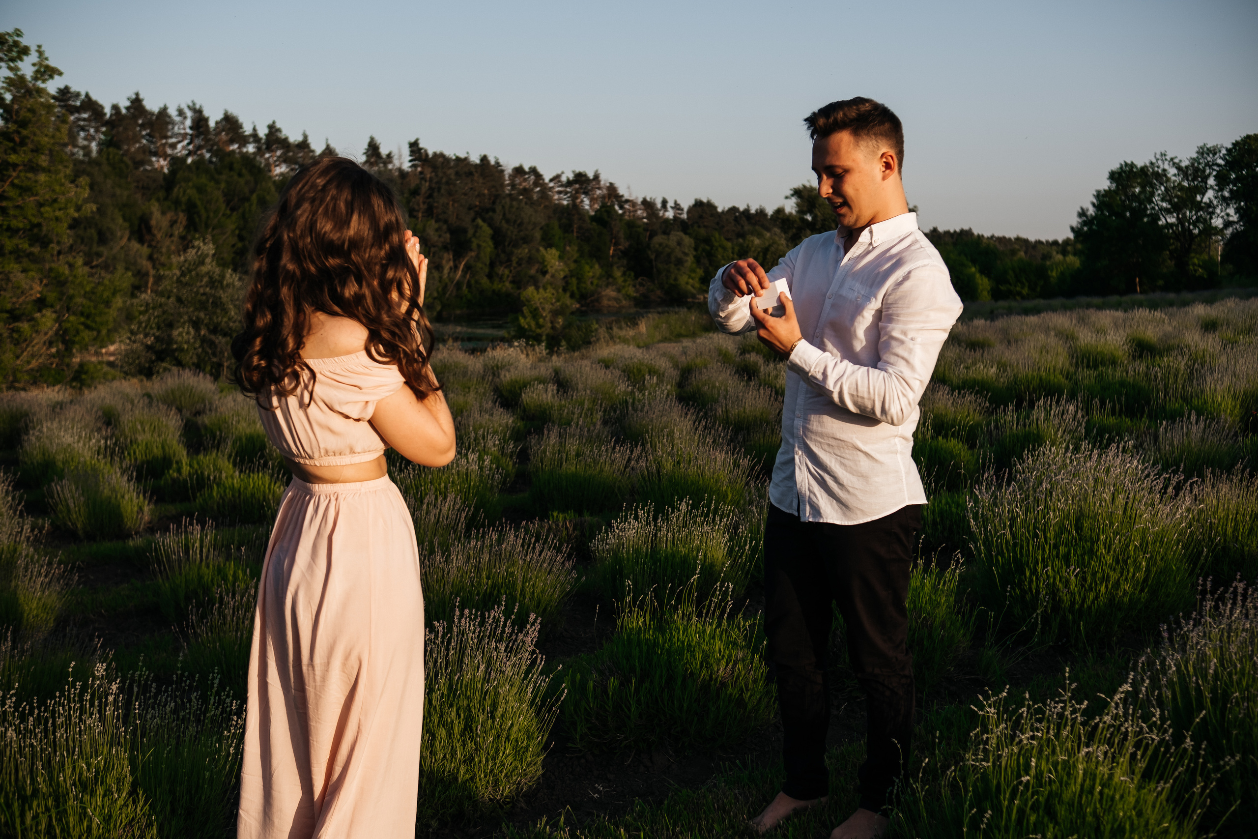 Вона сказала ТАК…. лавандове кохання. Плотиця Олександр. Весільний та сімейний фотограф