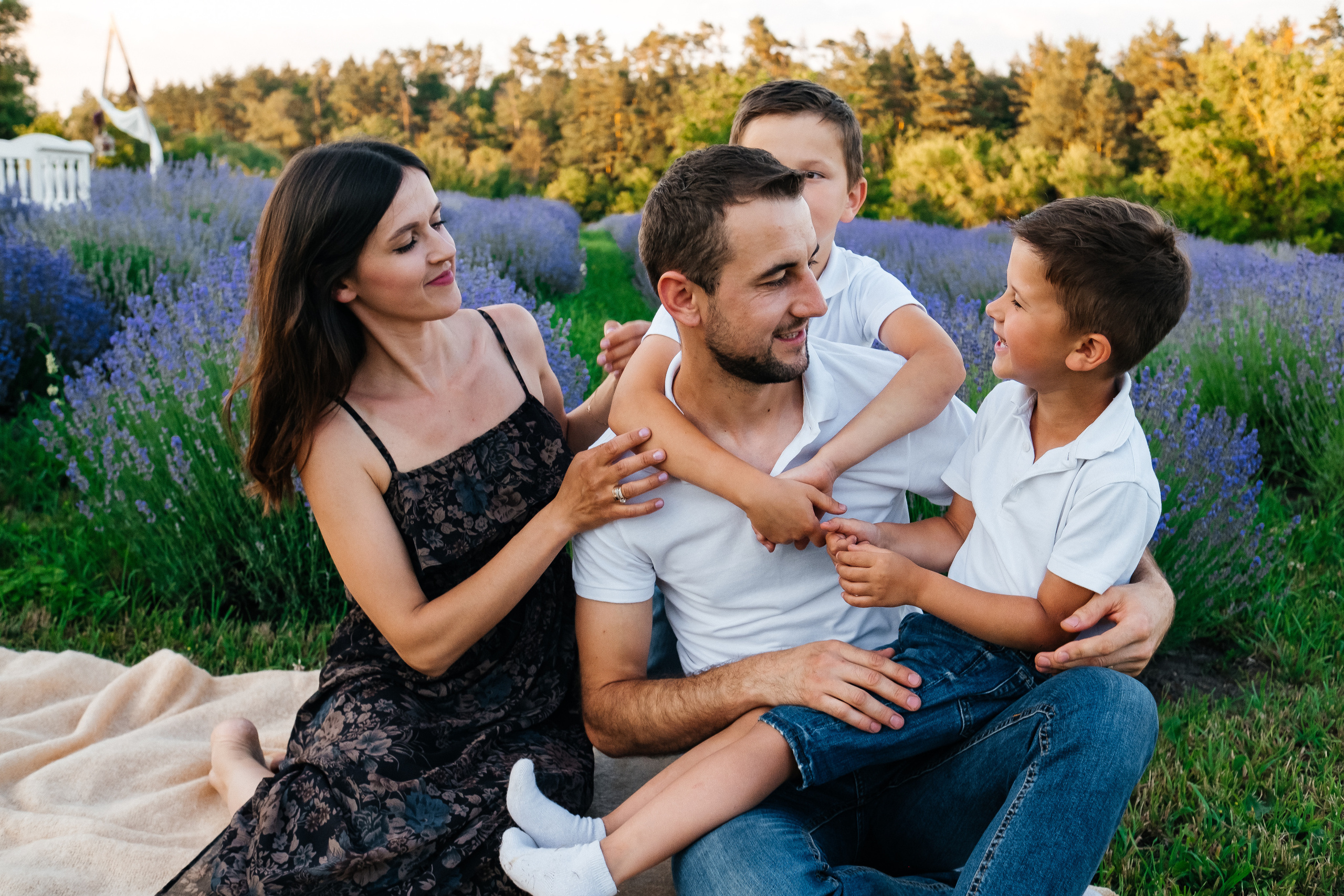 Lavanda. Плотиця Олександр. Весільний та сімейний фотограф