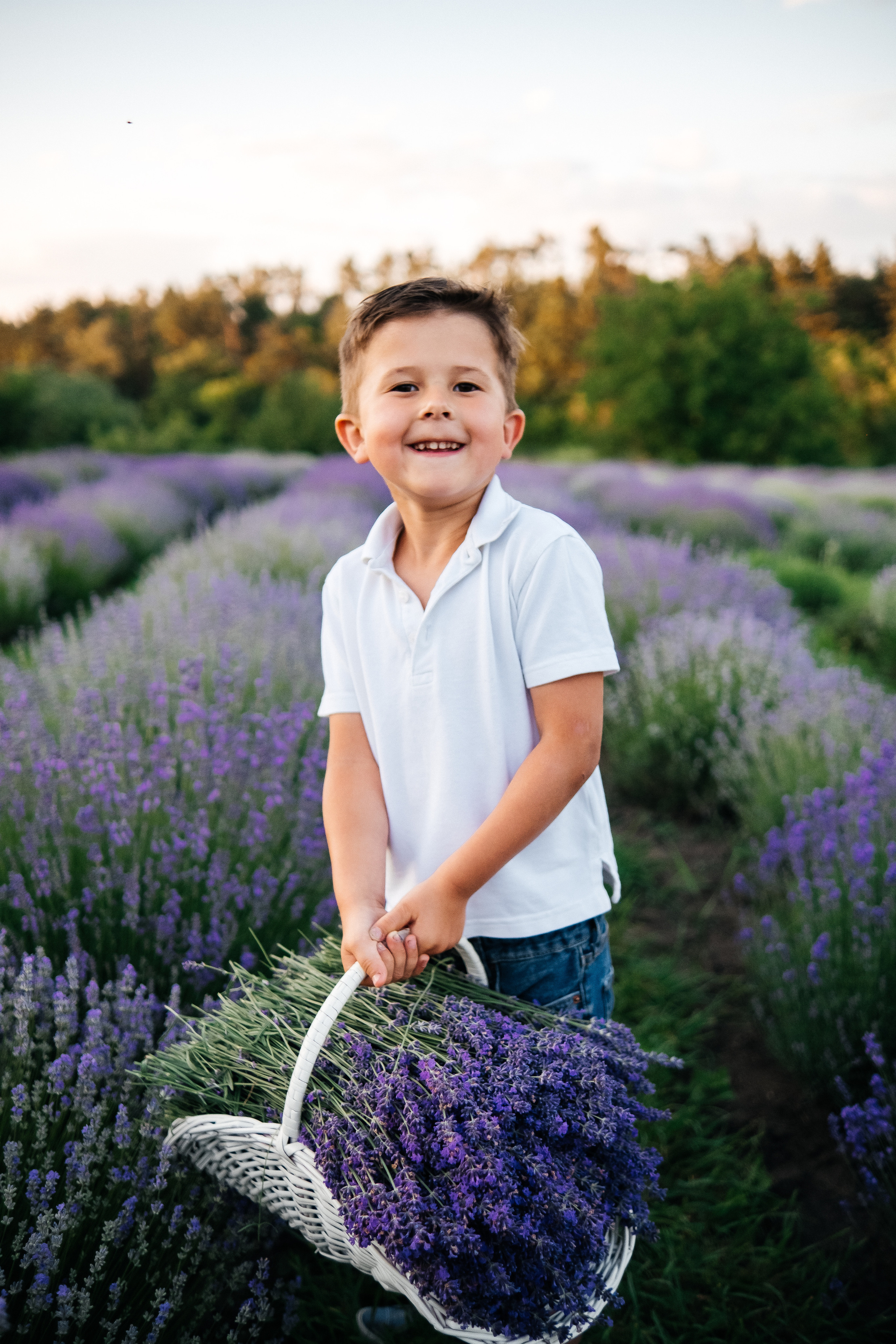 Lavanda. Плотиця Олександр. Весільний та сімейний фотограф