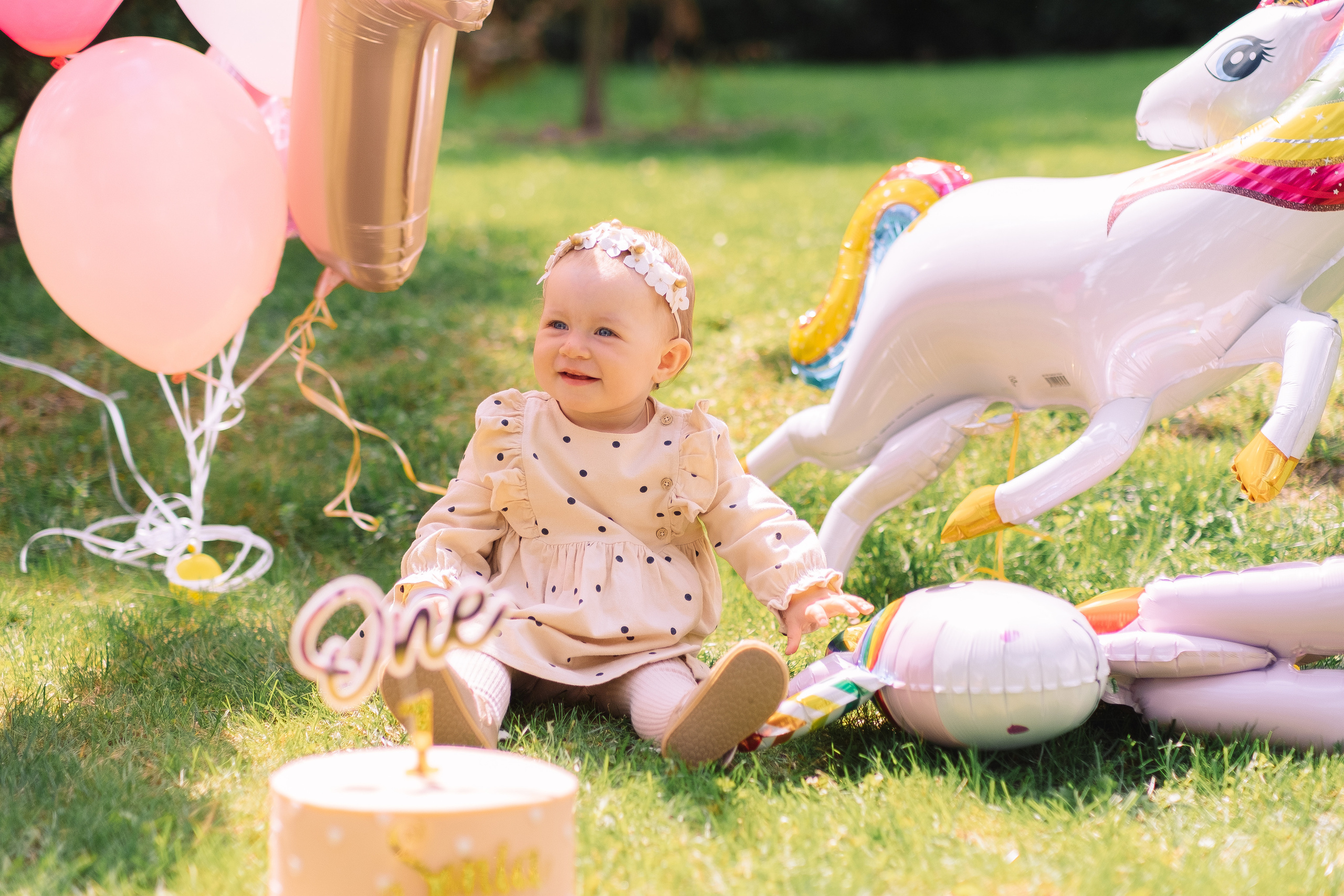 Sonia 1. Плотиця Олександр. Весільний та сімейний фотограф