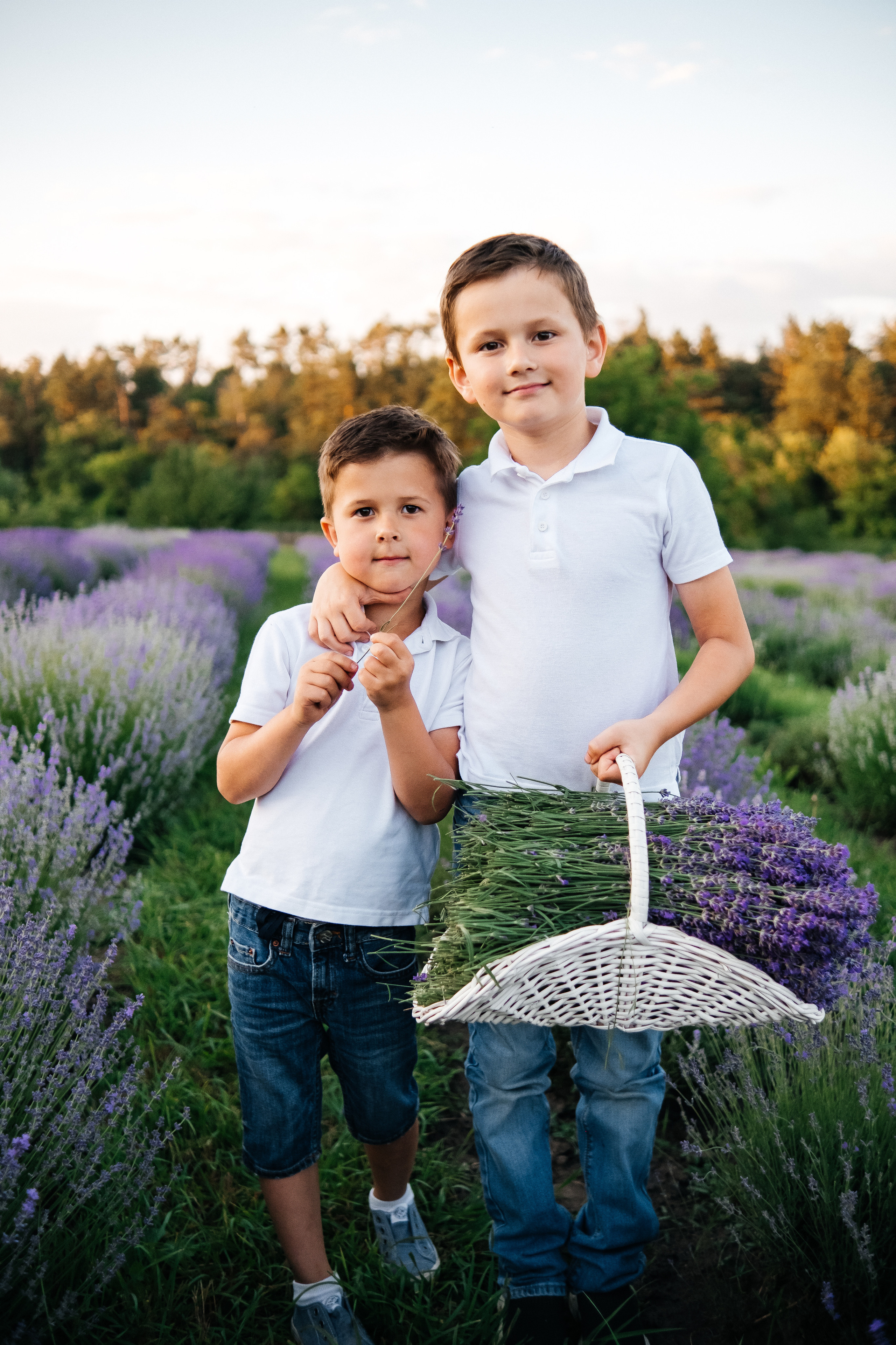 Lavanda. Плотиця Олександр. Весільний та сімейний фотограф