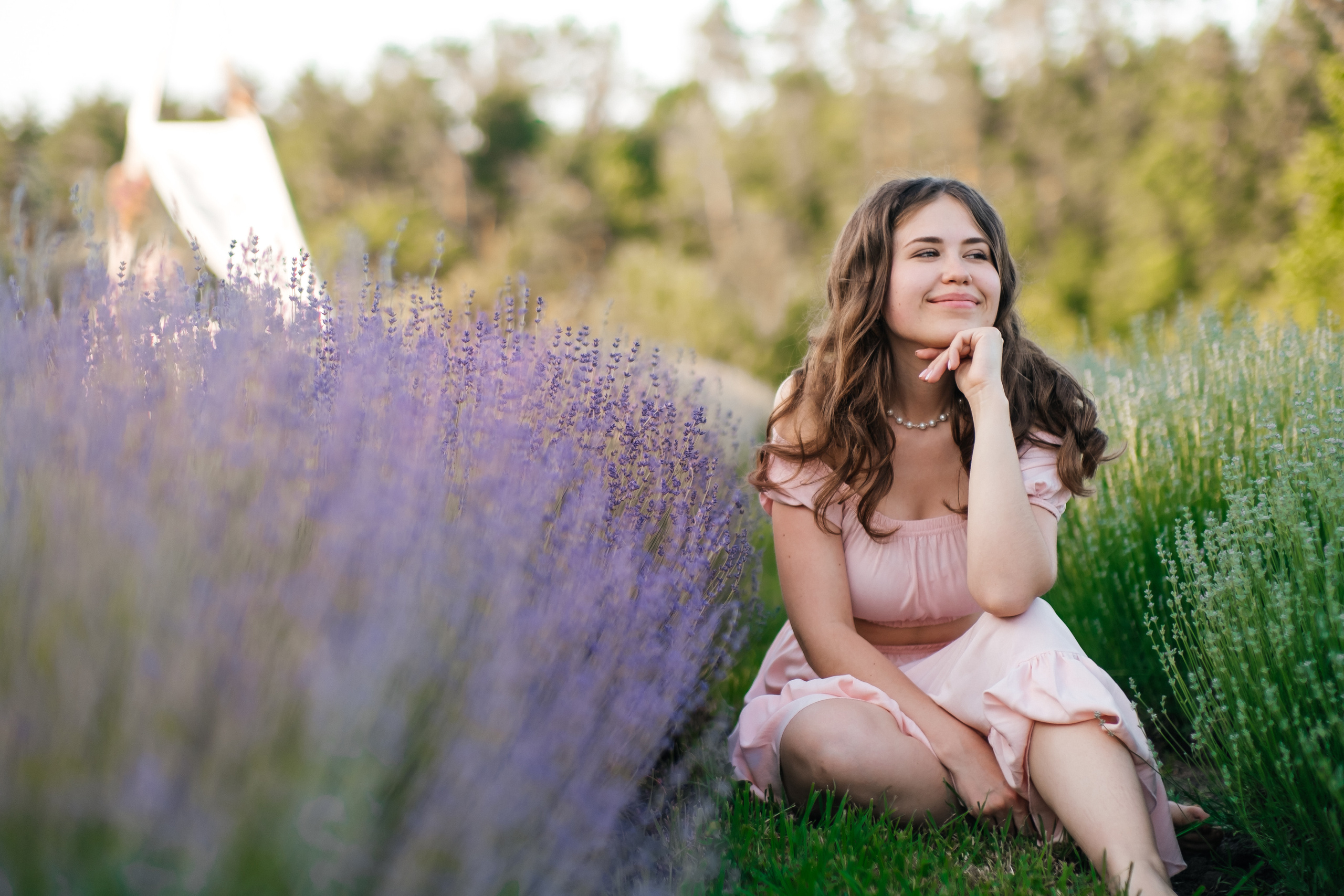 Вона сказала ТАК…. лавандове кохання. Плотиця Олександр. Весільний та сімейний фотограф